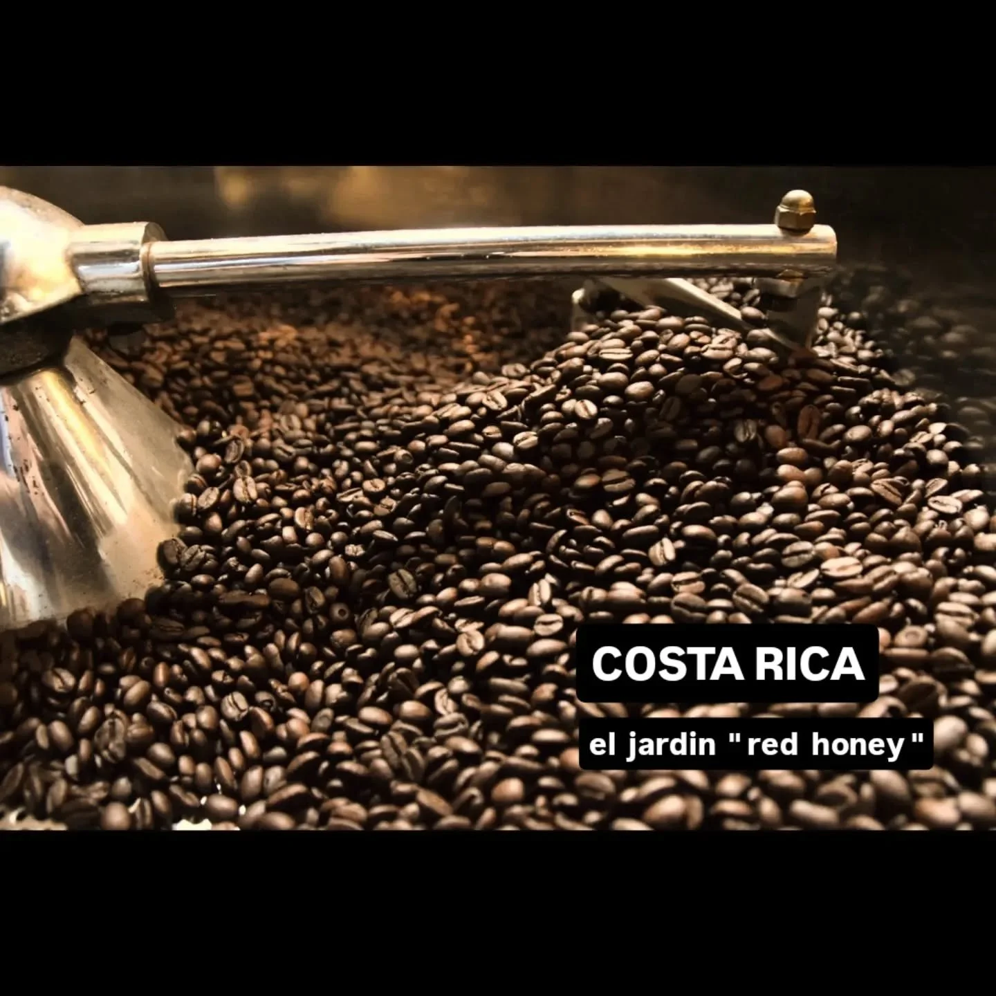 .
いつもありがとうございます
.
コスタリカ産スペシャルティコーヒー
『エル・ハルディン農園』
ハニープロセス(レッドハニー)
中深煎り
.
ハニープロセス先進国のコスタリカから
高品質なスペシャルティコーヒー入荷しています
.
ハニープロセス特有の甘みと
なめらかな口当たりをお楽しみいただけます
.
その他に
コーヒー豆のラインナップは
常時、12～15種類ほどご用意しています。
.
好みの味わいや、雰囲気をお伝えくだされば、おすすめのコーヒー豆をご案内いたしまので、お気軽にお声がけください