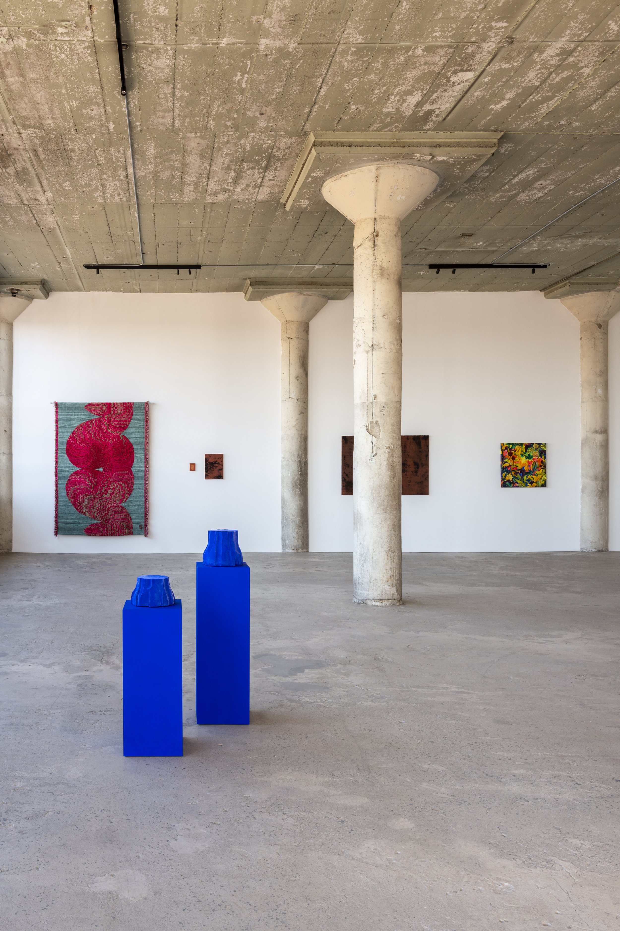 SageCulture-Consciousness-01-Installation-01c copy.jpg