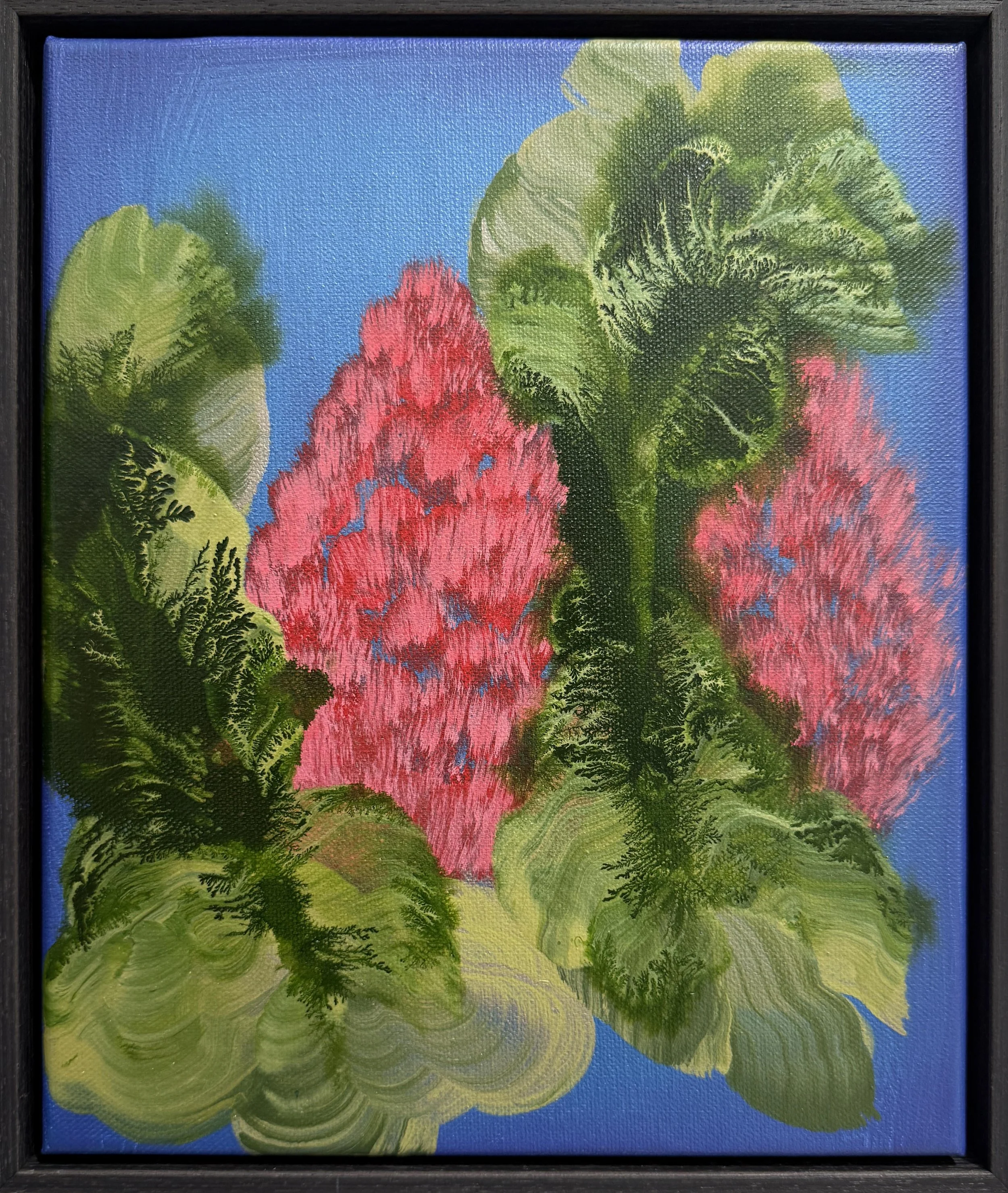 GingerLily_OrlandaBroom.jpg
