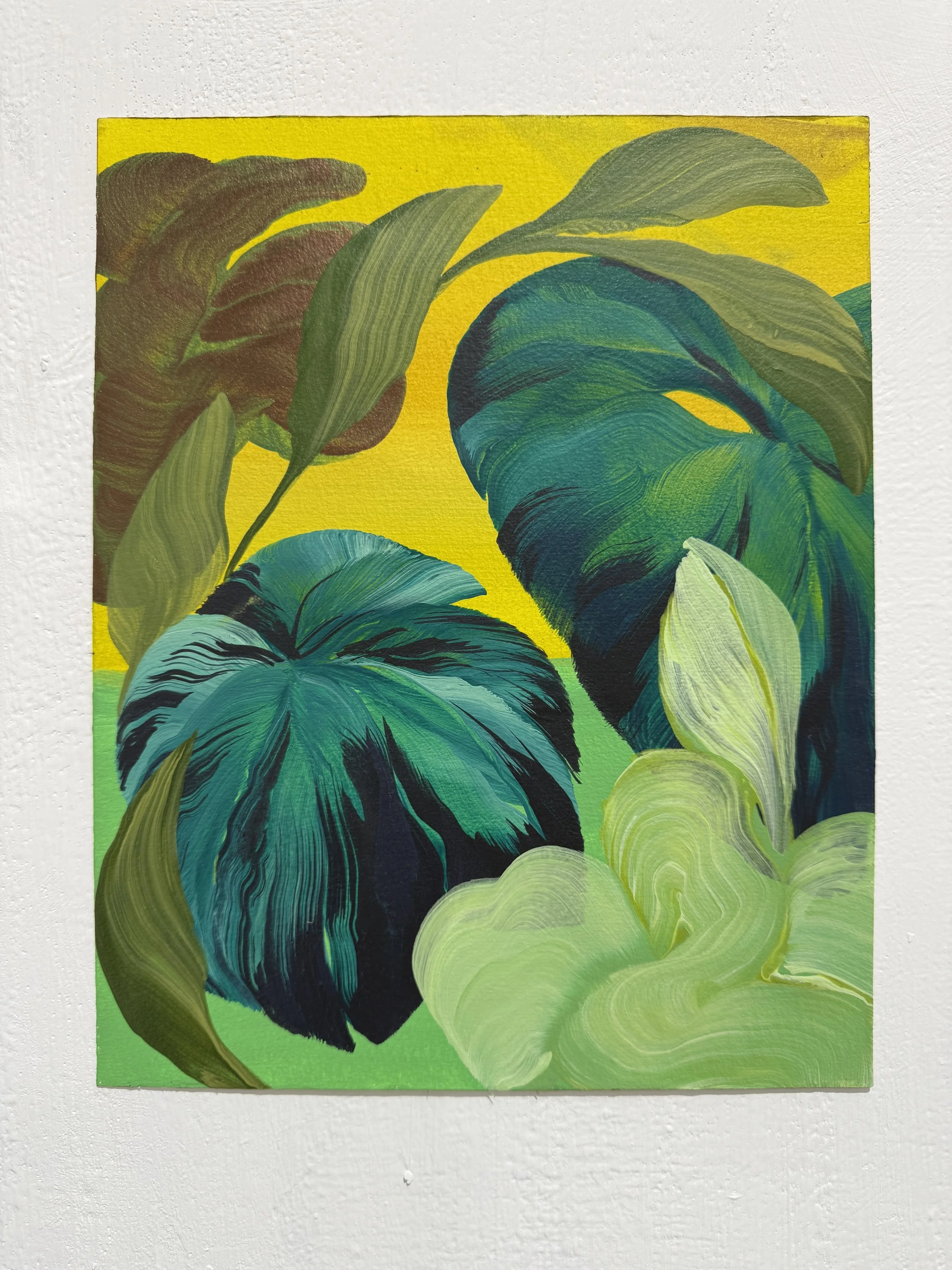 Lilt Study on wall Orlanda broom.JPG