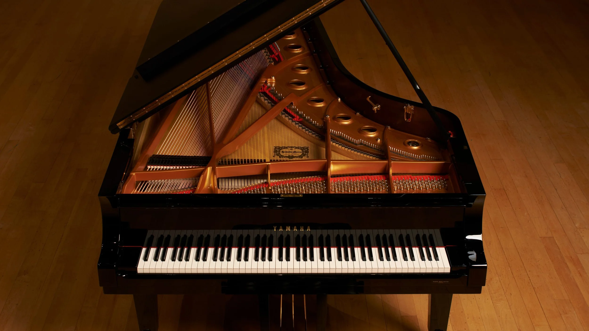 Piano by Annika