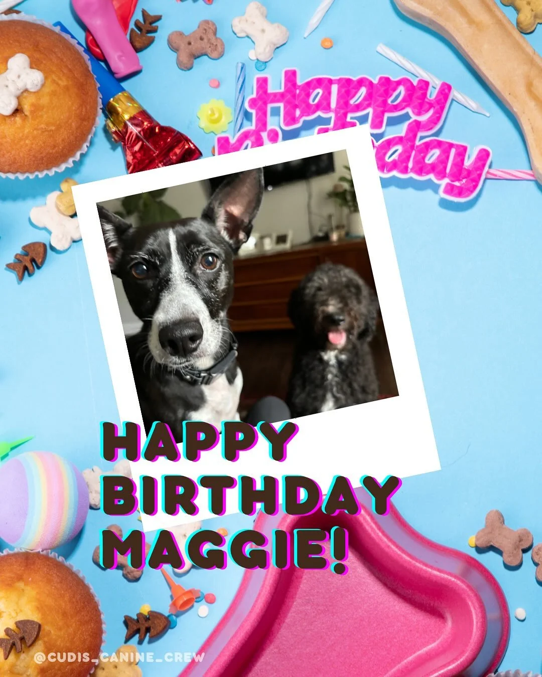 It's hard to believe September is almost over, but not before celebrating our September babies Maggie and Nala! These silly furbabies bring me so much joy and I know they'll be showered with love (and all the 🦴) on their special day 🥳🥰🐶