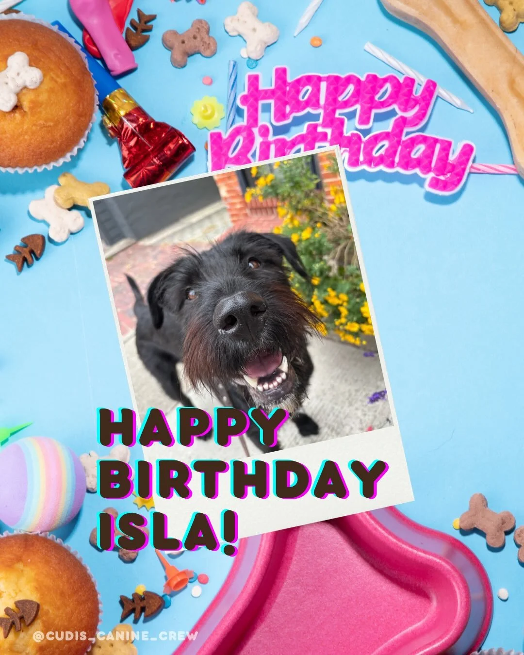 January flew by and I&rsquo;m late to the pawty 🐾🎉

Shouting happy birthday to these January furbabies!! 🐶 We didn&rsquo;t forget about you! Thank you for sharing your adorable pups with us, they make us so happy 😁🎂 

Isla (2): January 8
Carmela