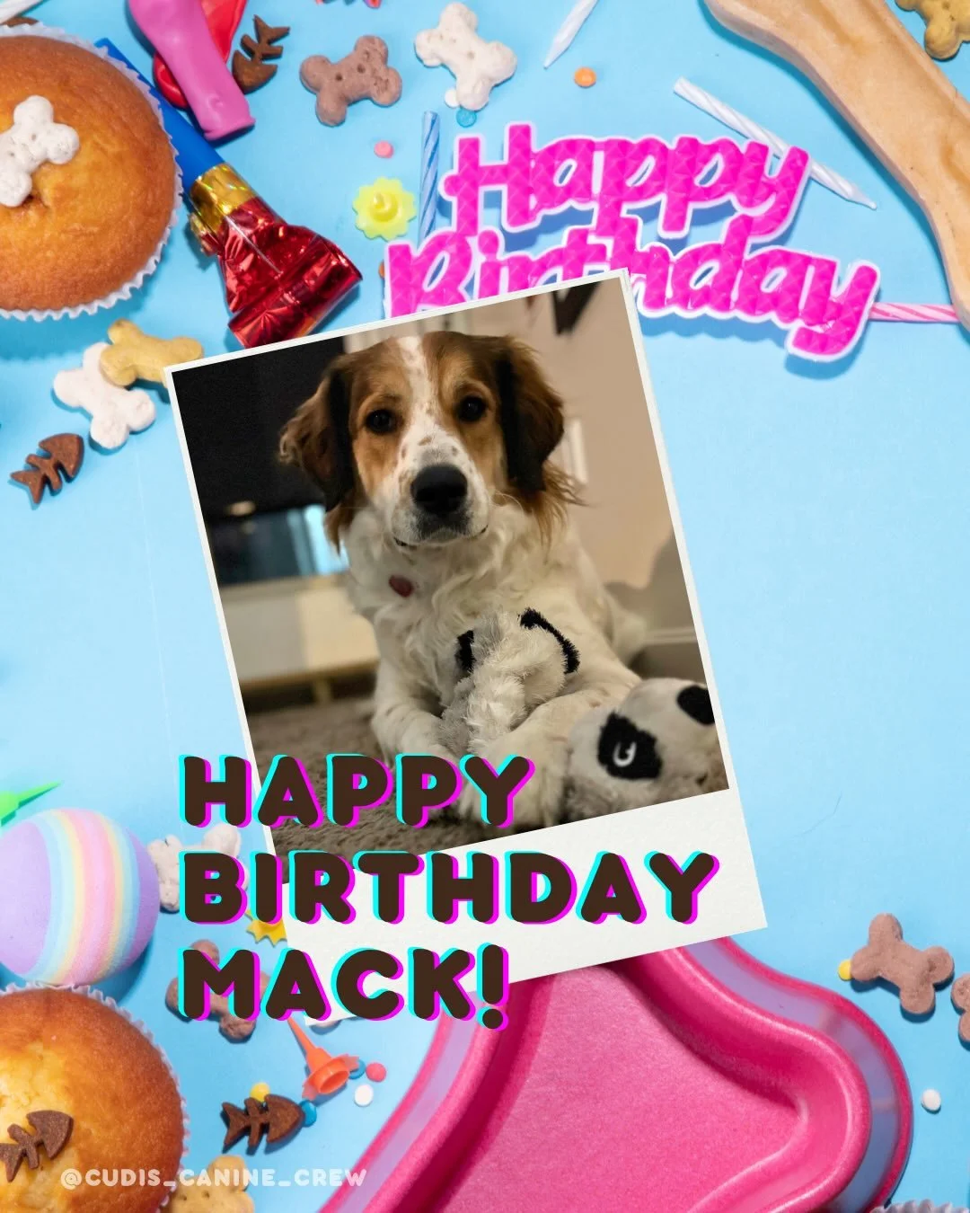 April birthdays = sunshine &amp; spoiled pups ☀️🐶

Happy birthday to our April crew!! And a special shoutout to some of our furry friends who turned ONE! 🎉 It&rsquo;s been so fun (and chaotic at times 😝) watching you grow into these sweet, silly l