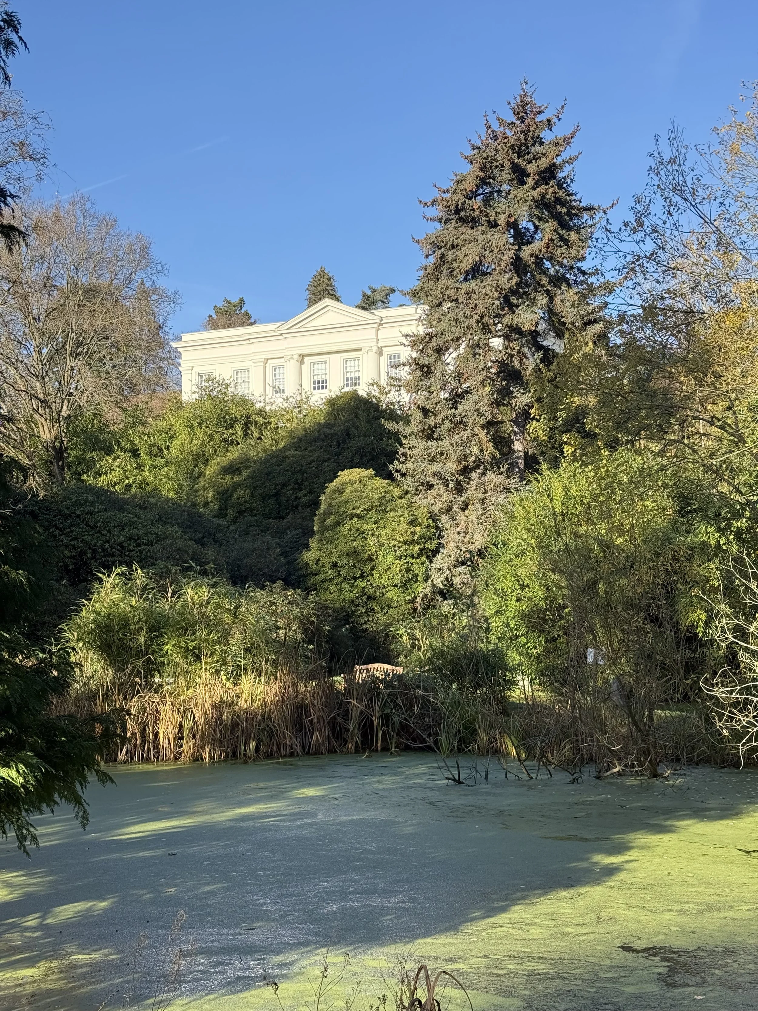 Walking coaching and being in the moment in a nature