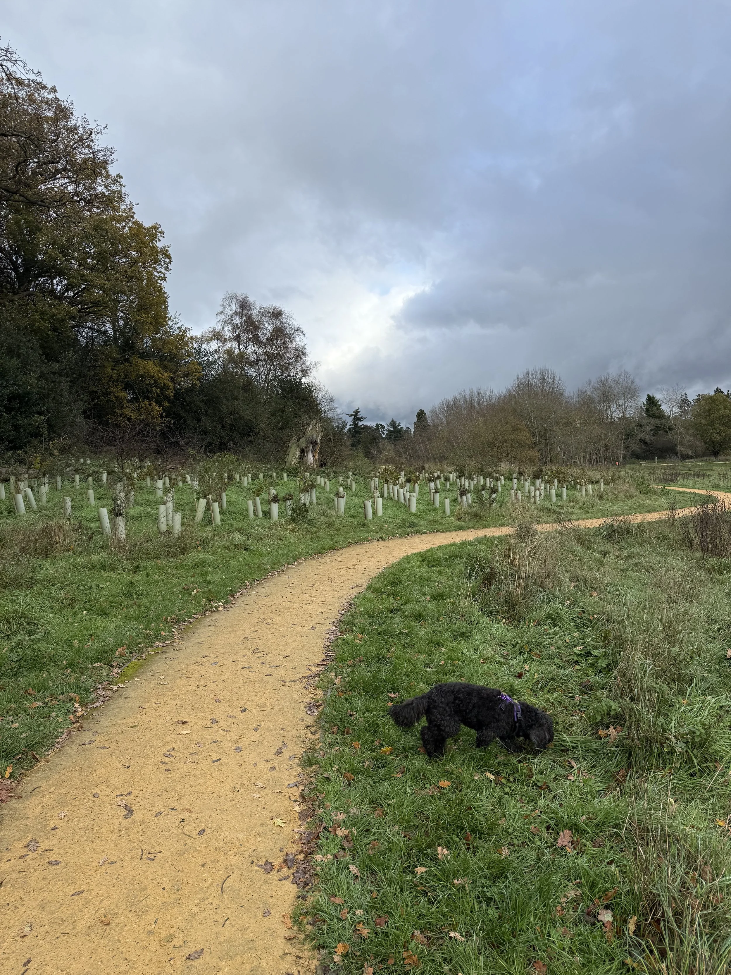 Walking coaching and being in the moment in a nature