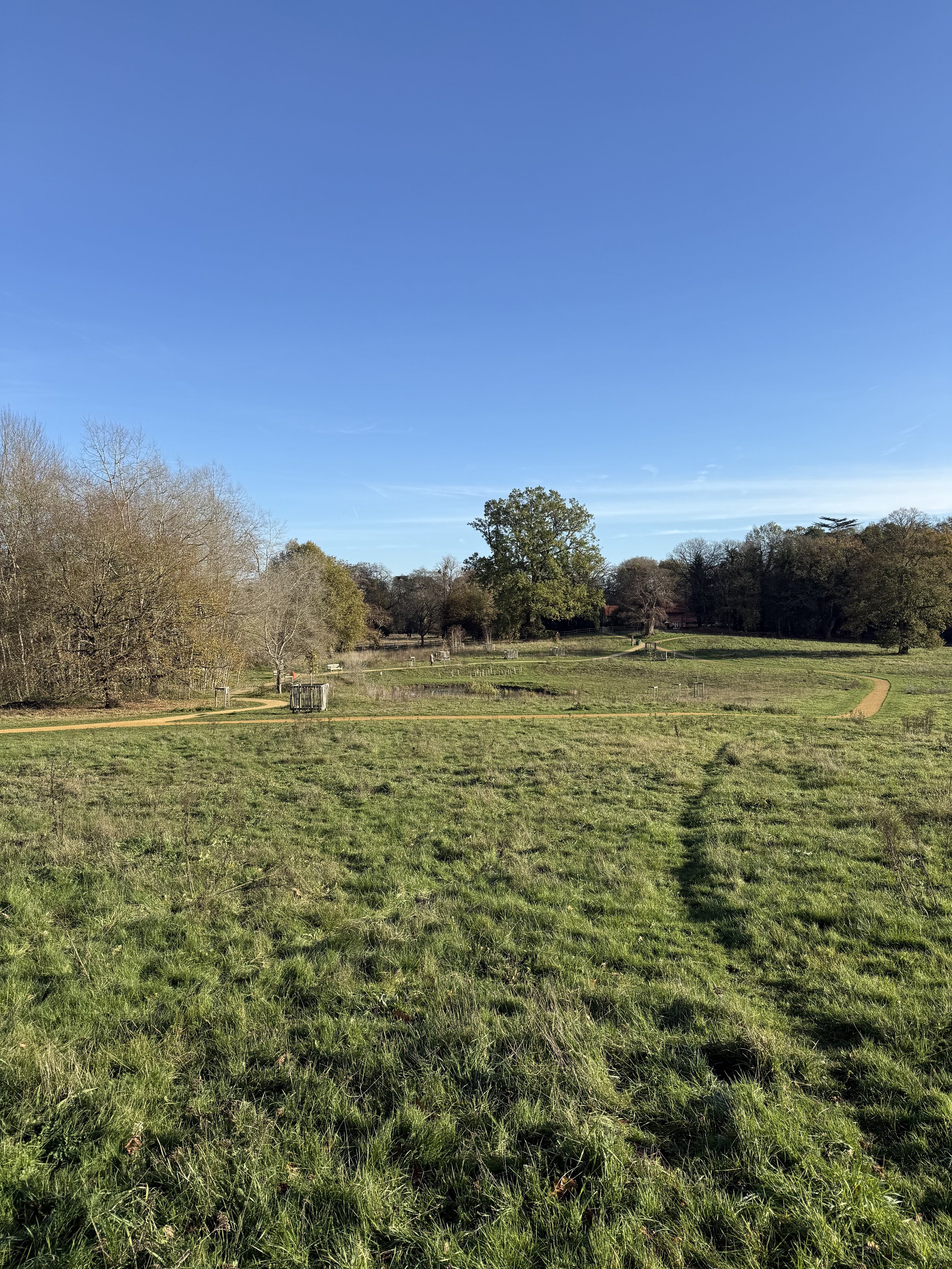 Walking coaching and being in the moment in a nature