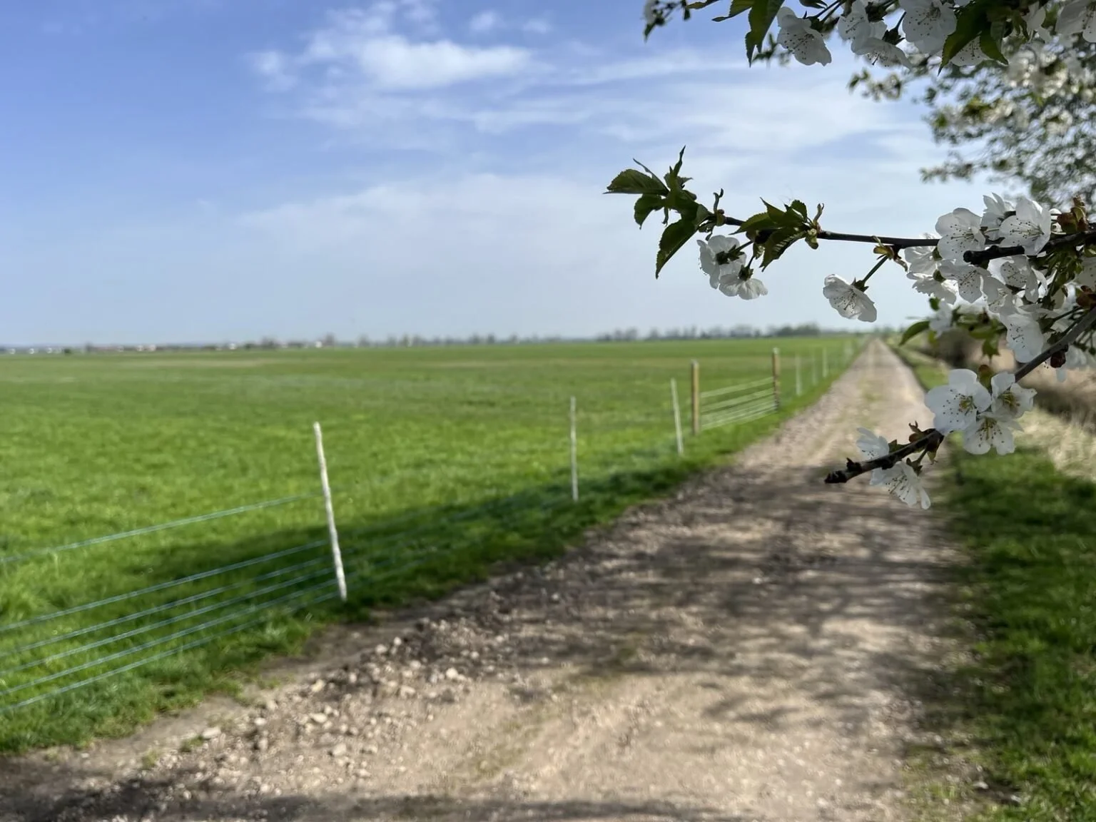 2024.04.10 früher 02.jpeg