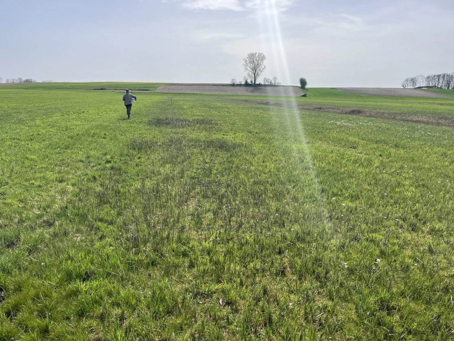 2024.04.10 früher 04.jpeg