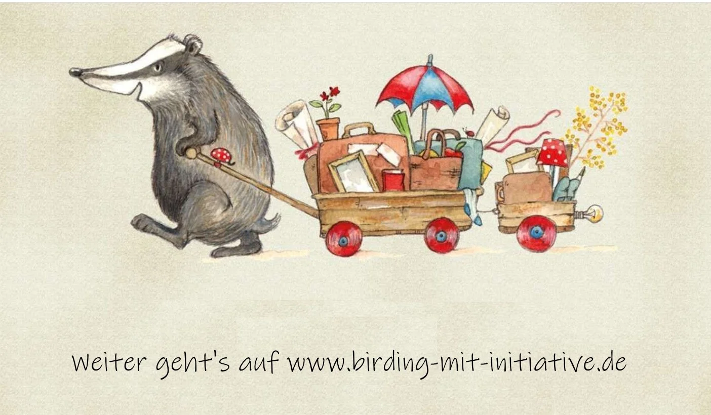 Es wird umgezogen …