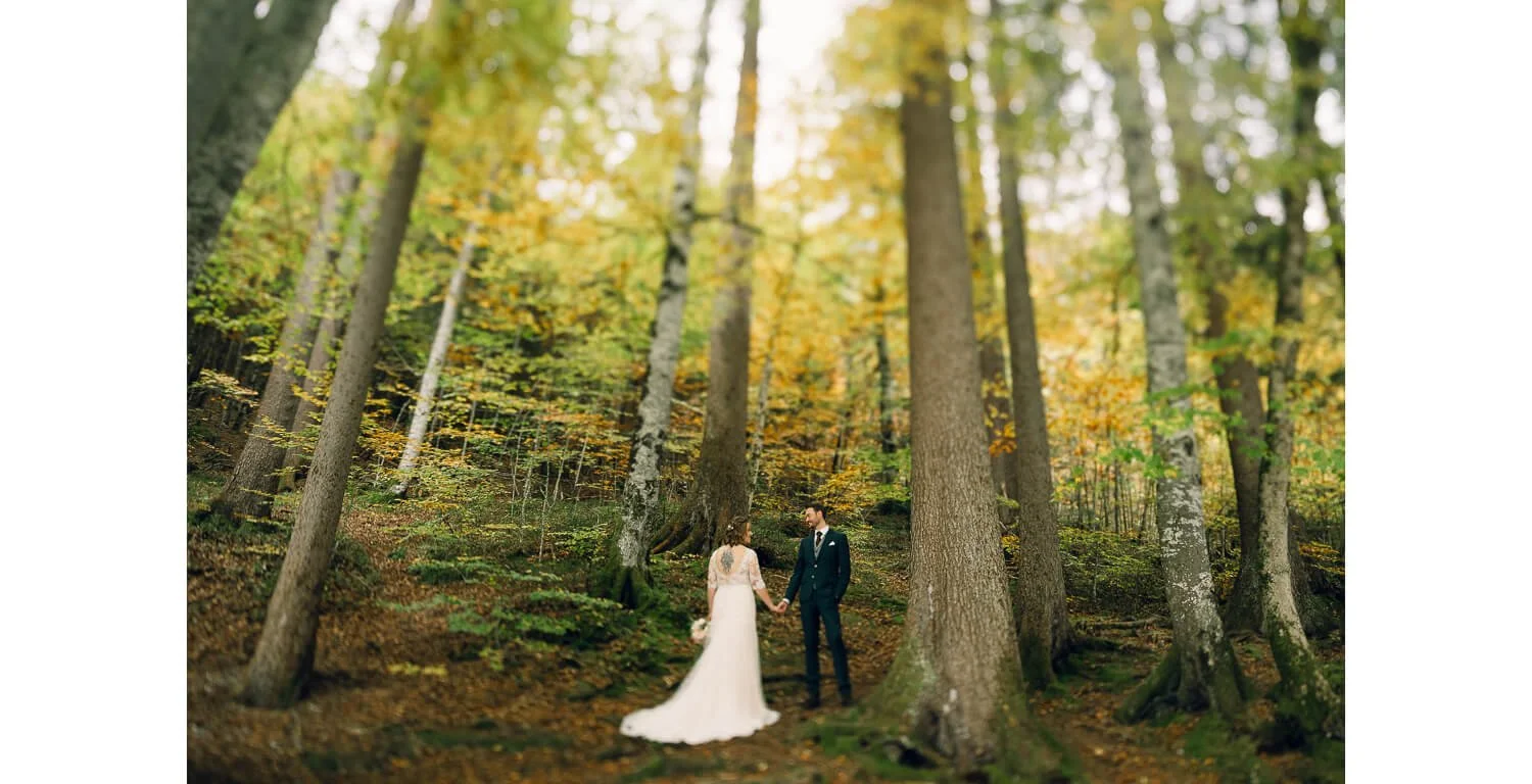 Brautpaar beim Paarshooting im Wald nahe dem Ameron Hotel Schwangau, Herbststimmung zwischen hohen Bäumen