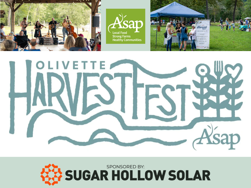Olivette harvest fest