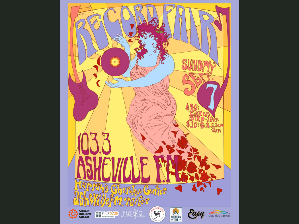 6th Annual 103.3 Asheville FM Record Fair