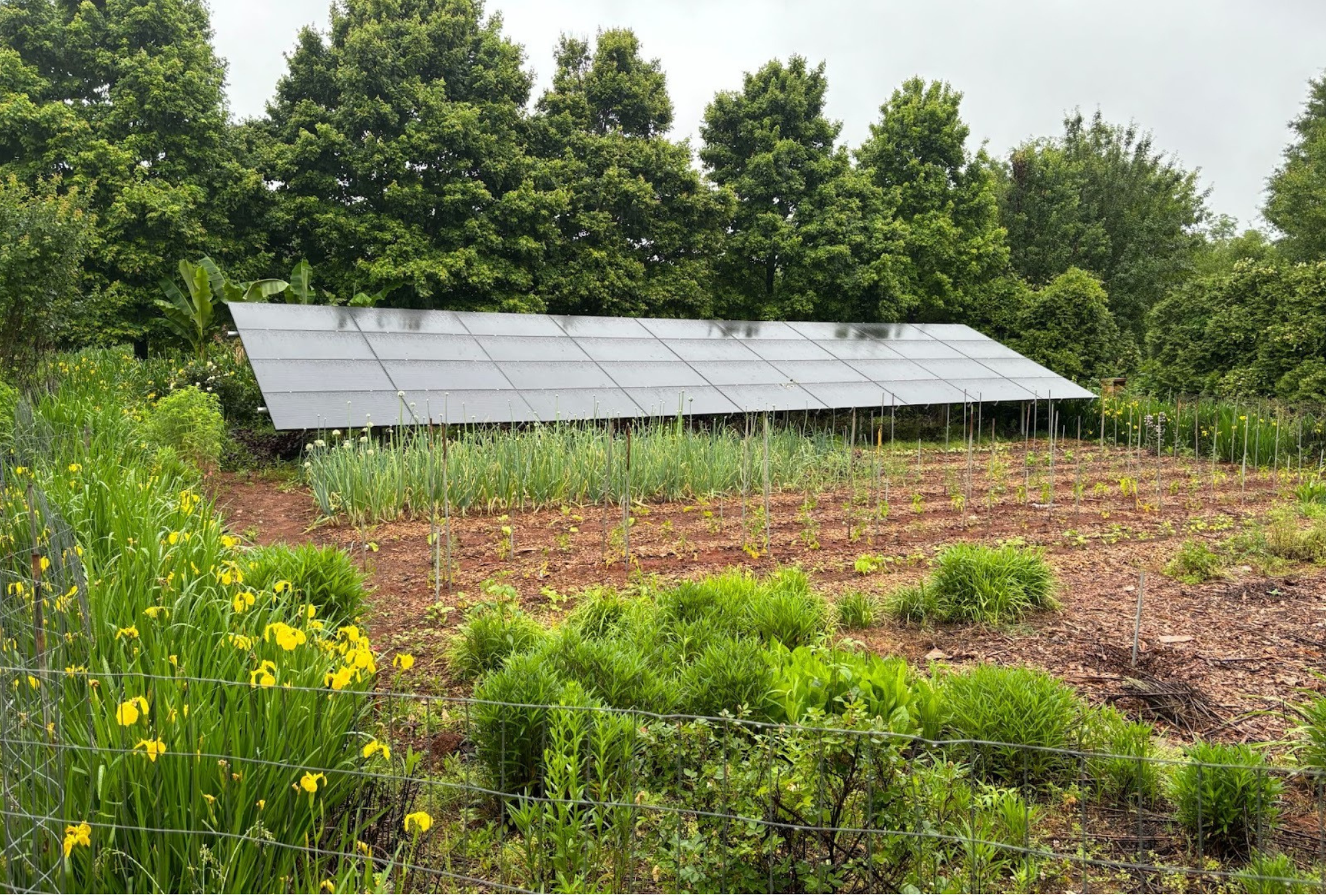 Sugar Hollow Solar Panels