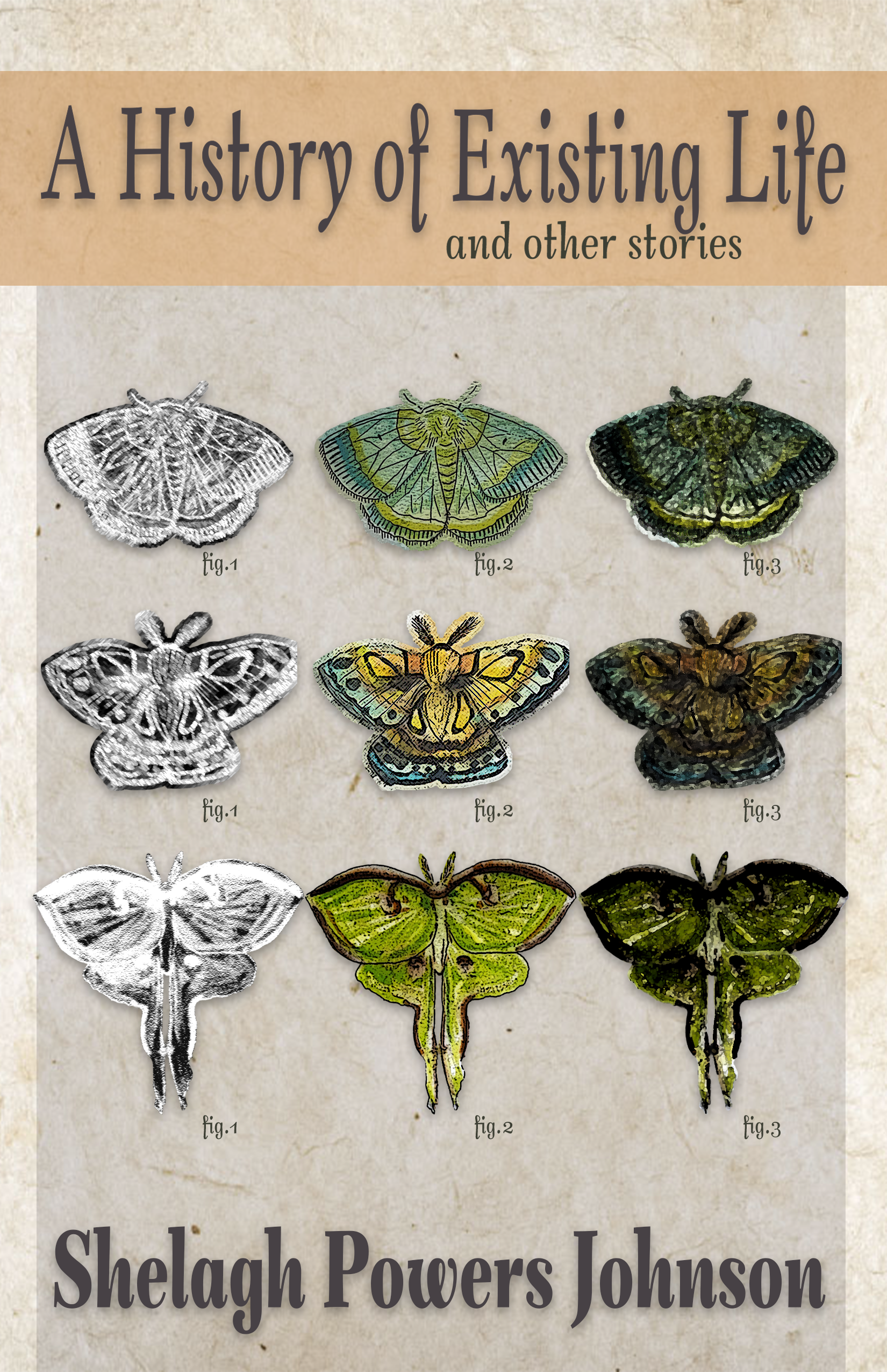 A History of Existing Life, story collection, 2025