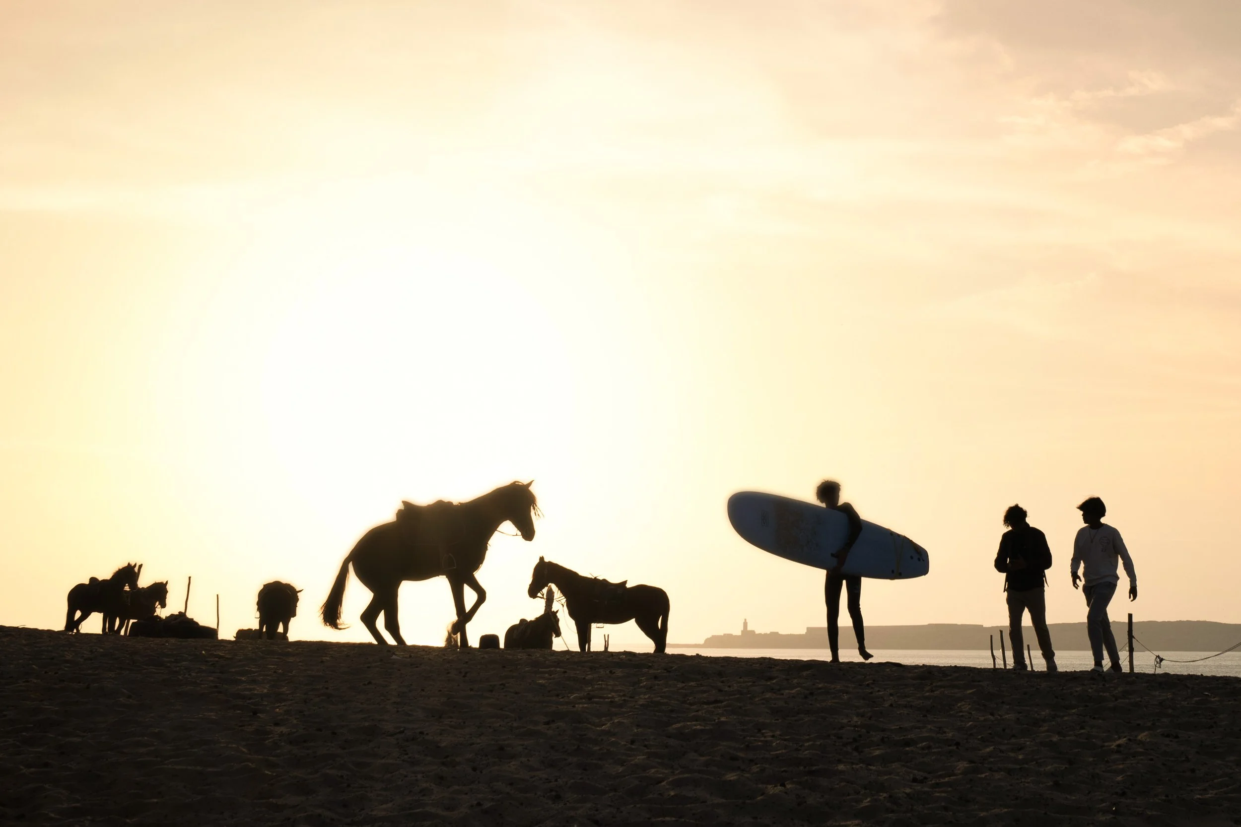 New Pics - Morocco - Essaouira - 2025