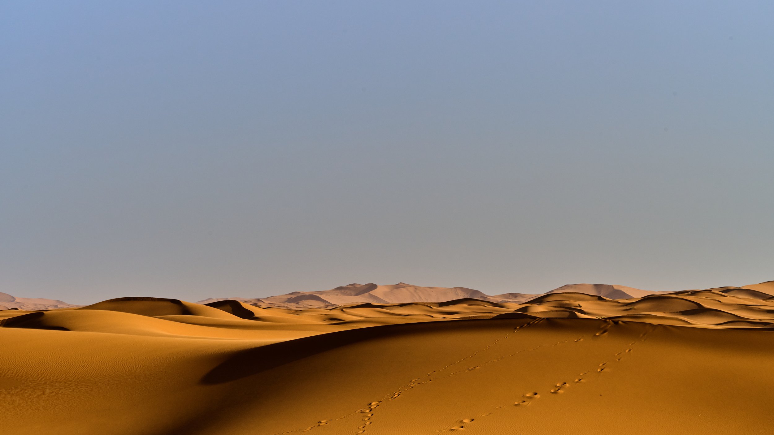 New Pics - Morocco - Sahara - 2026