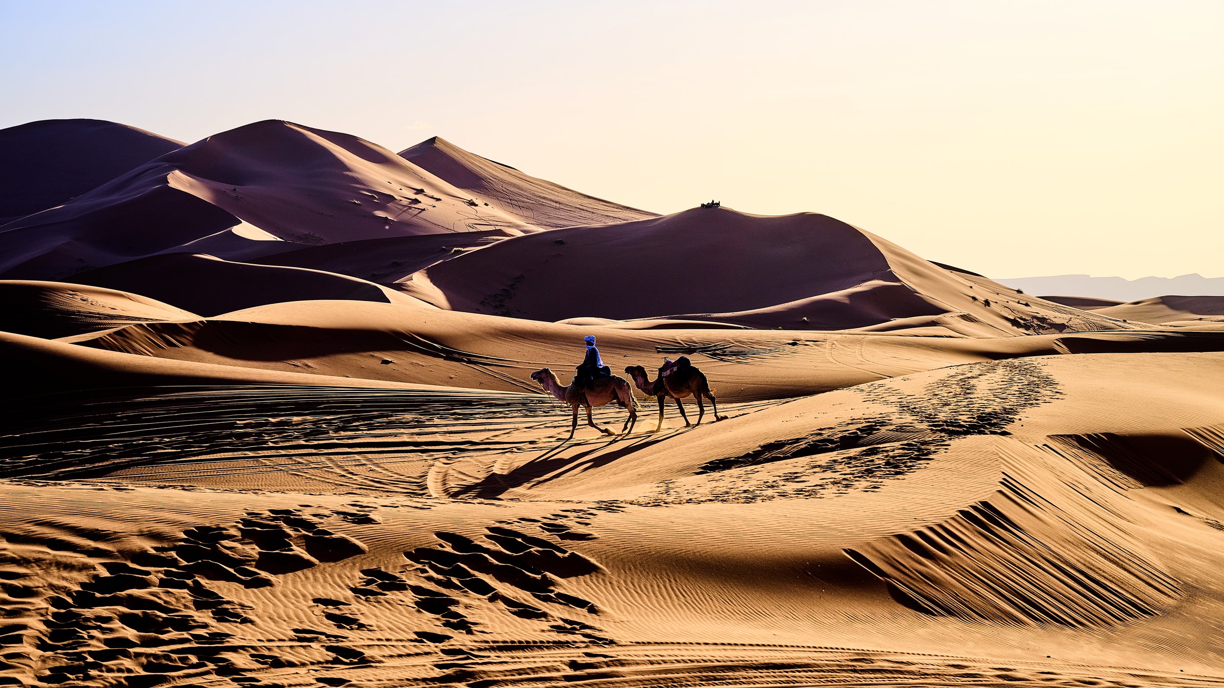 Sahara April 2026