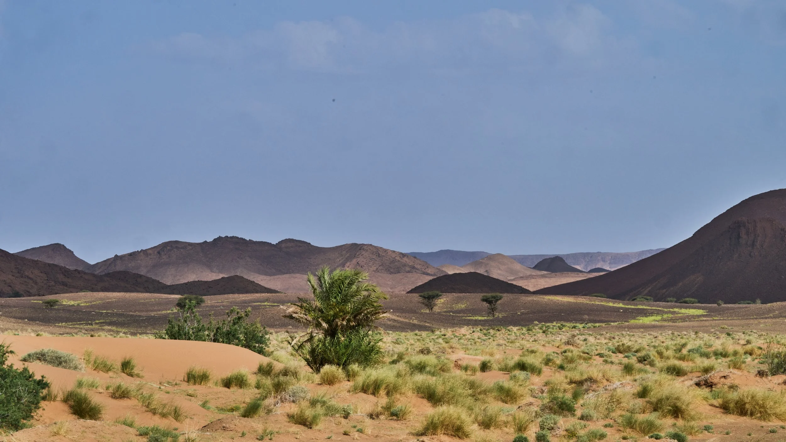 DSC_3288.jpg