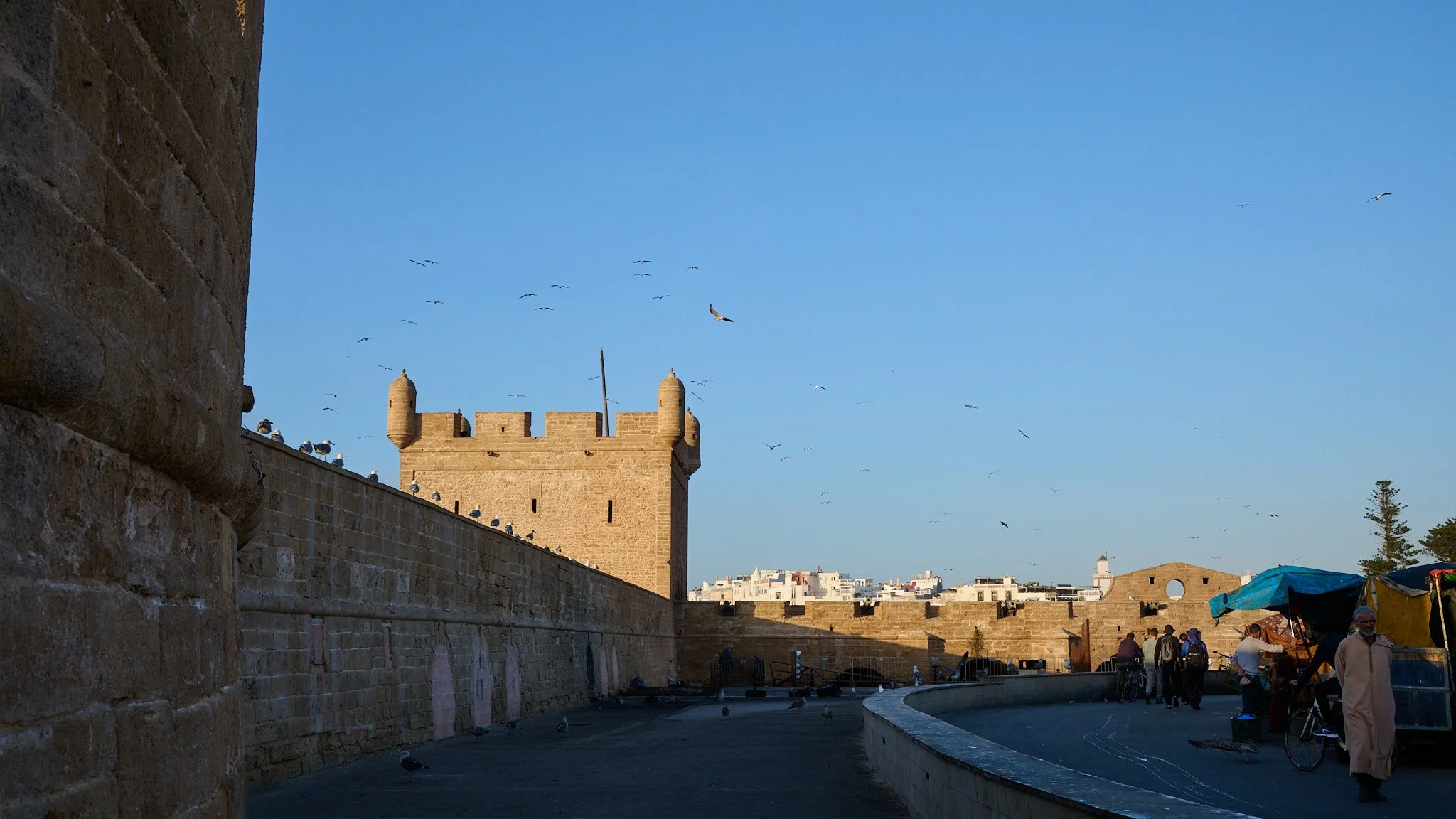 DSC_9386.jpg