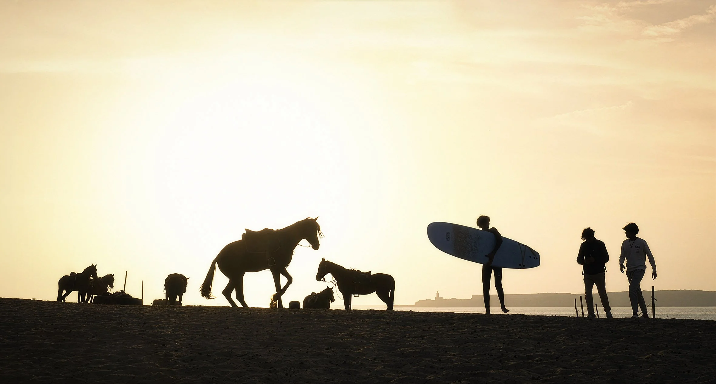 New Pics - Morocco - Atlantic Coast - 2026
