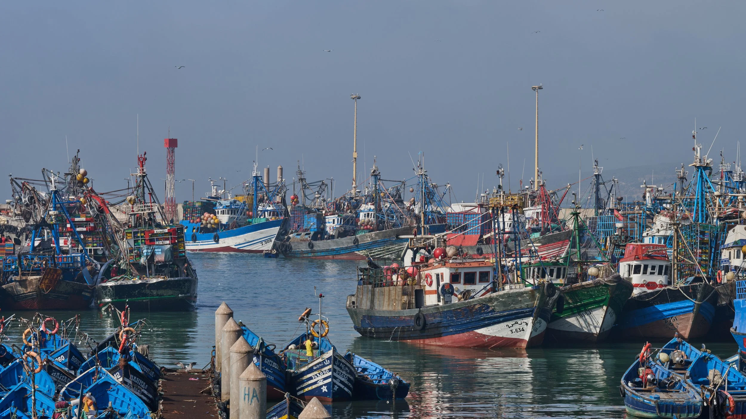 DSC_2675.jpg