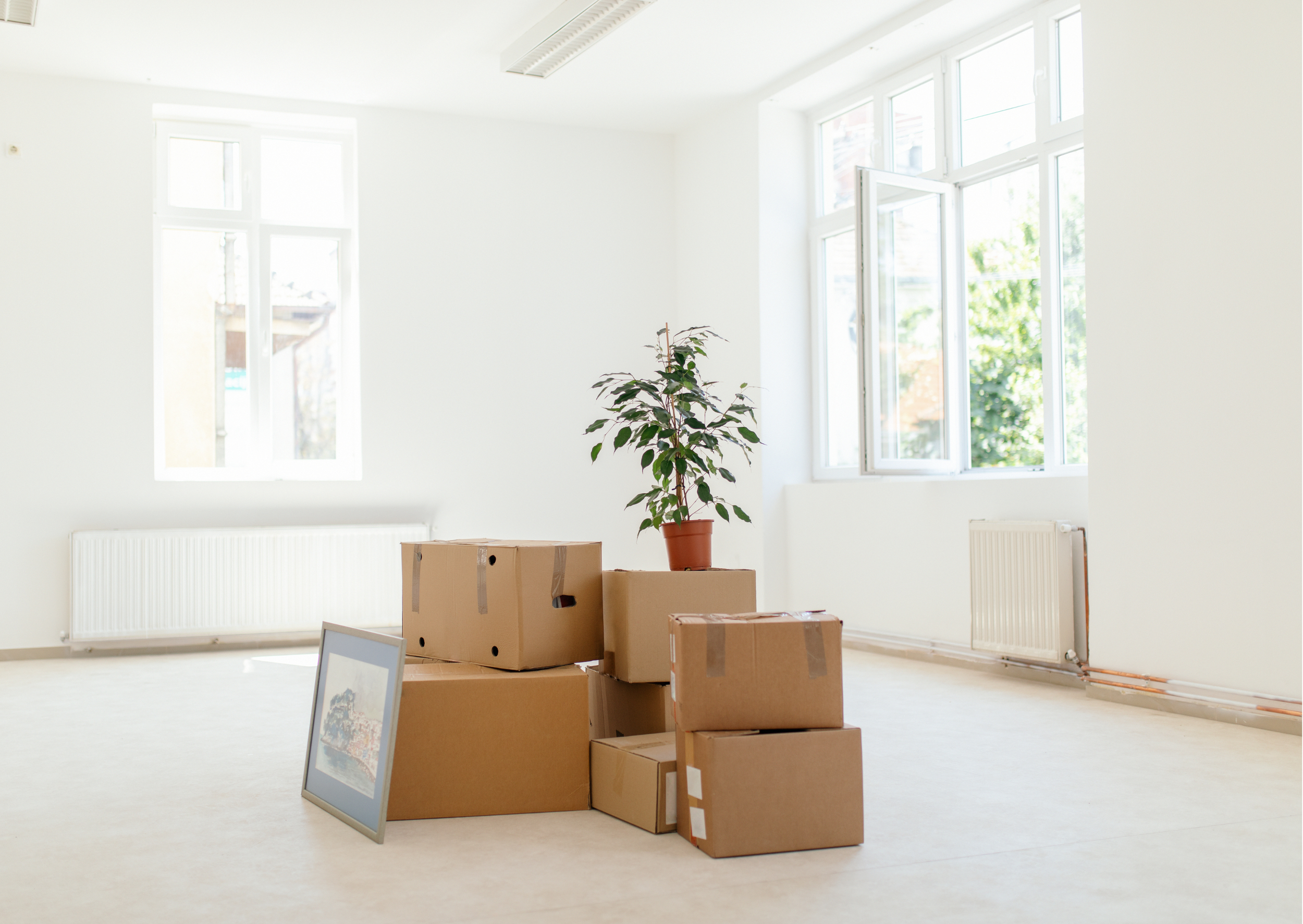 Move-in house cleaning service in Rochester NY kitchen cleaning