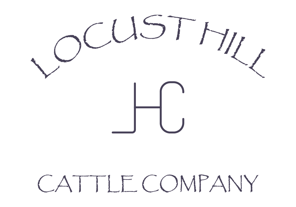 LHCC_blu_logo.png