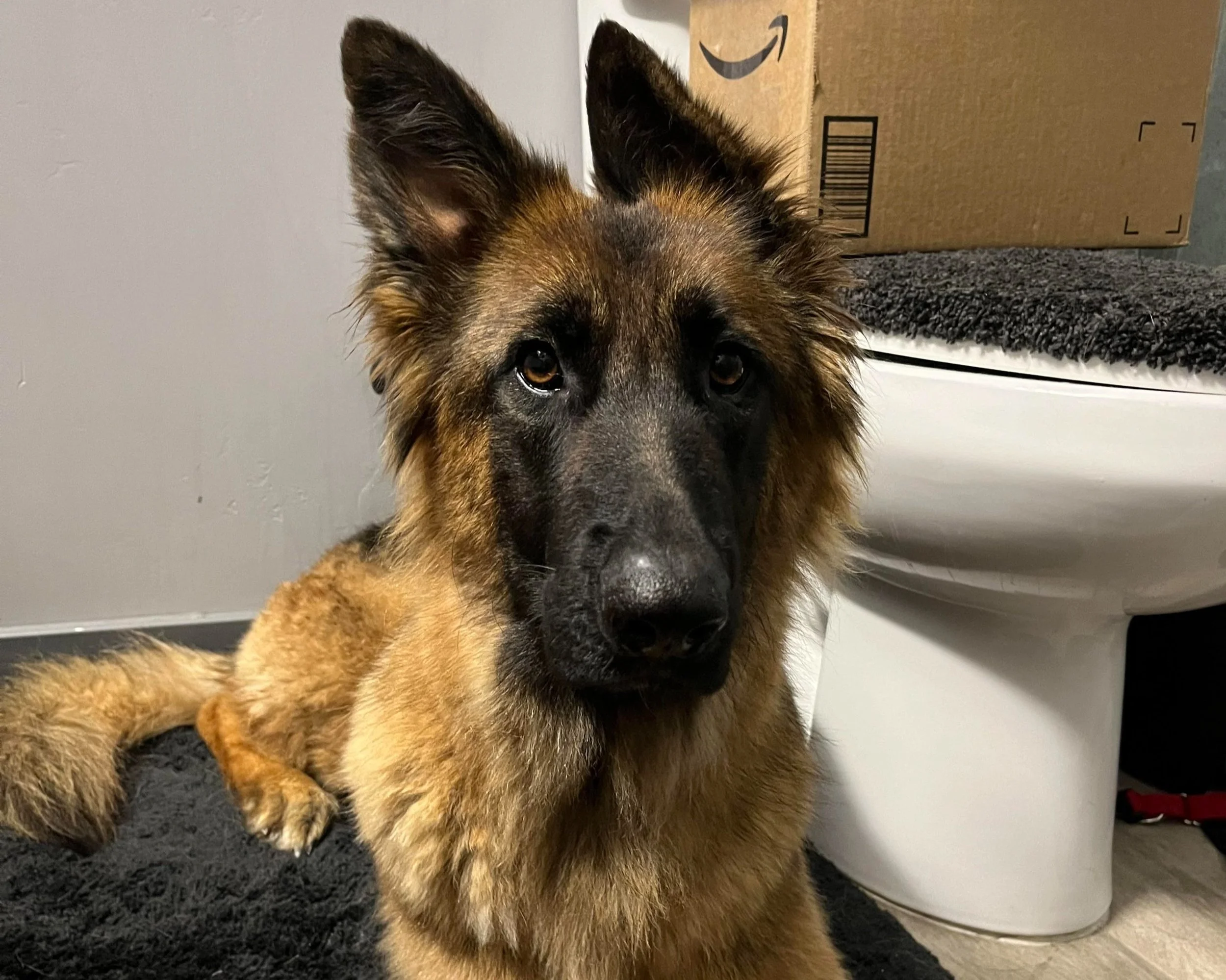 unnamed-1 11.08.05.jpg