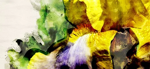 Maria Savidis-Markatos — Spring