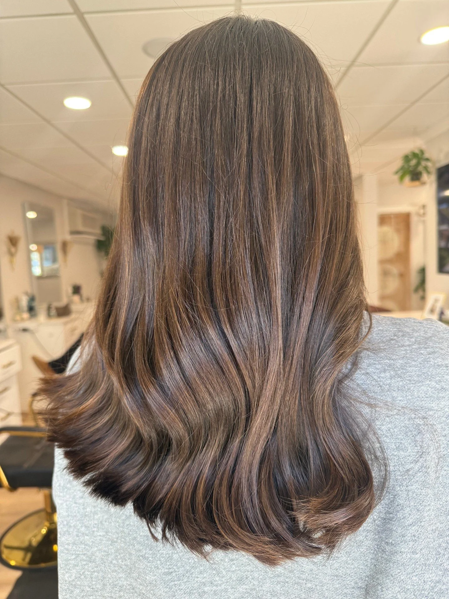 Brunette but make it 🤎 l u x u r y 🤎