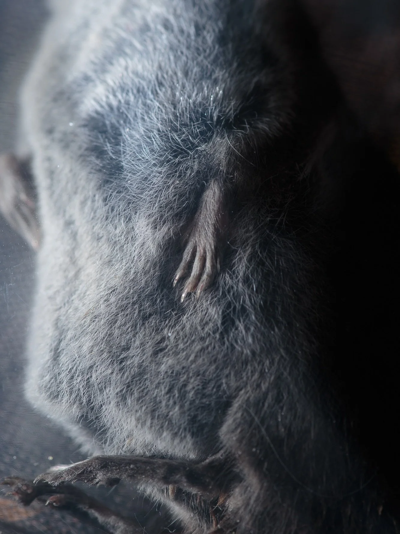 so glad to see you well