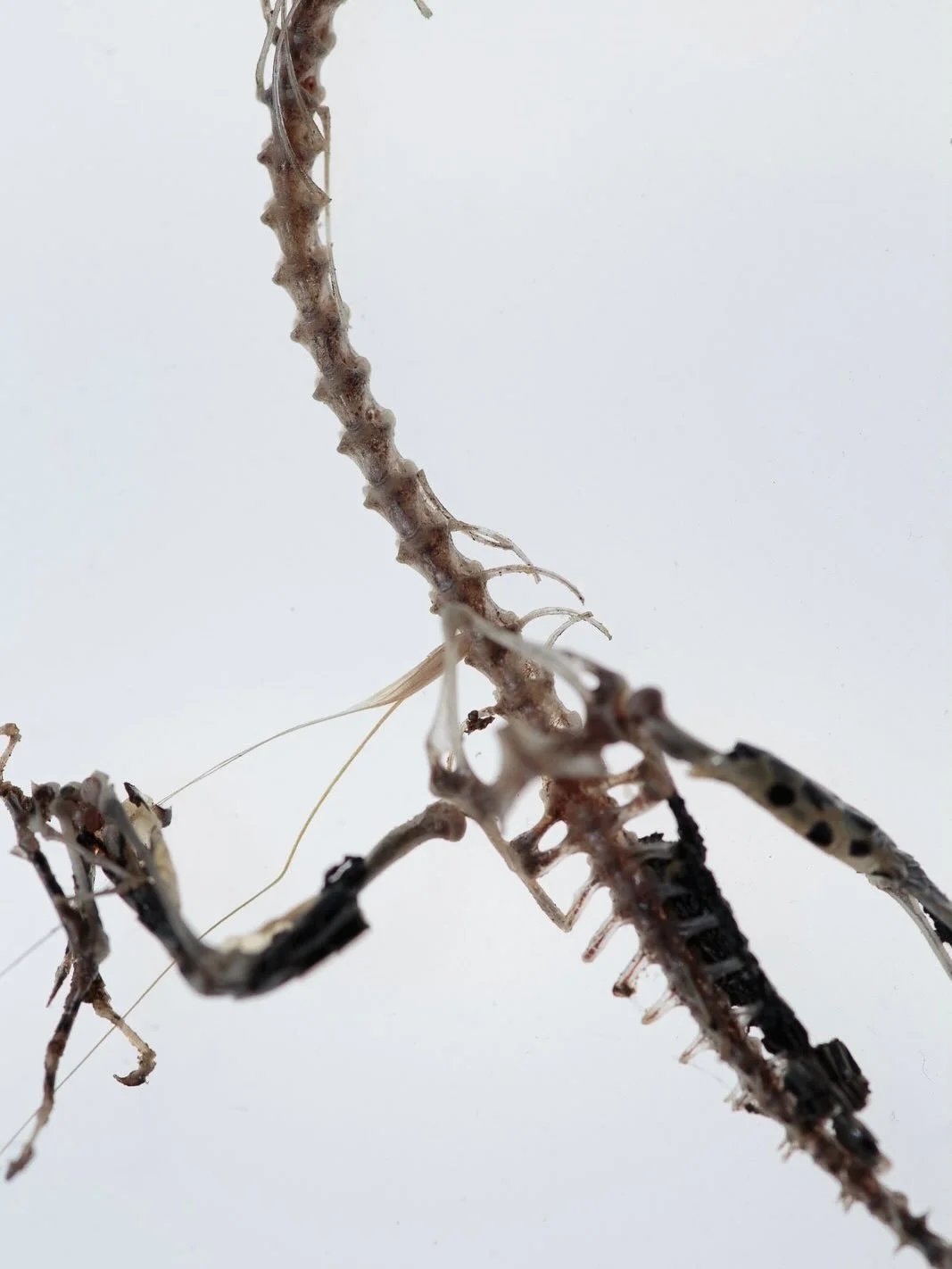 I&rsquo;m alive, again