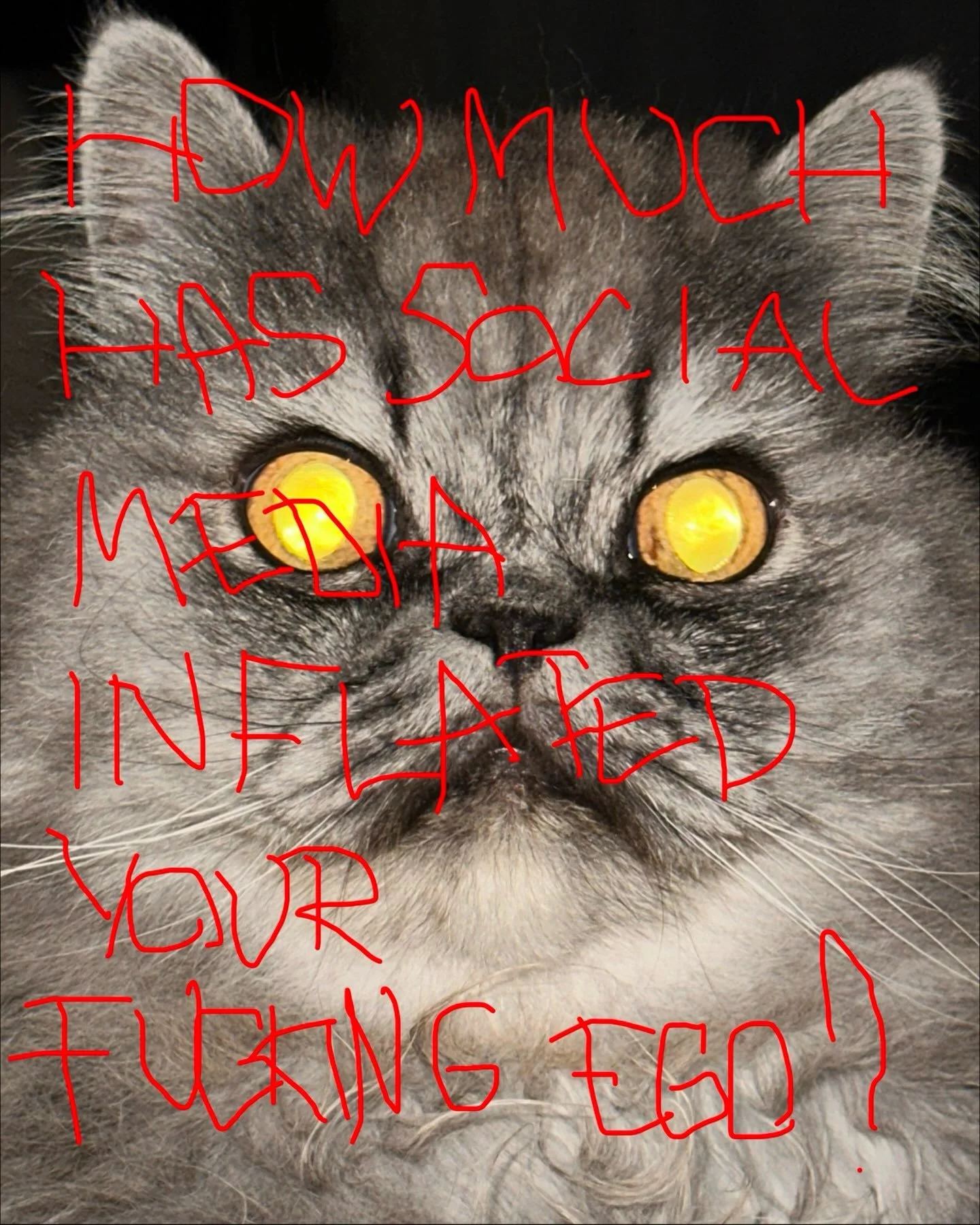 how much has social media inflated your fucking ego?