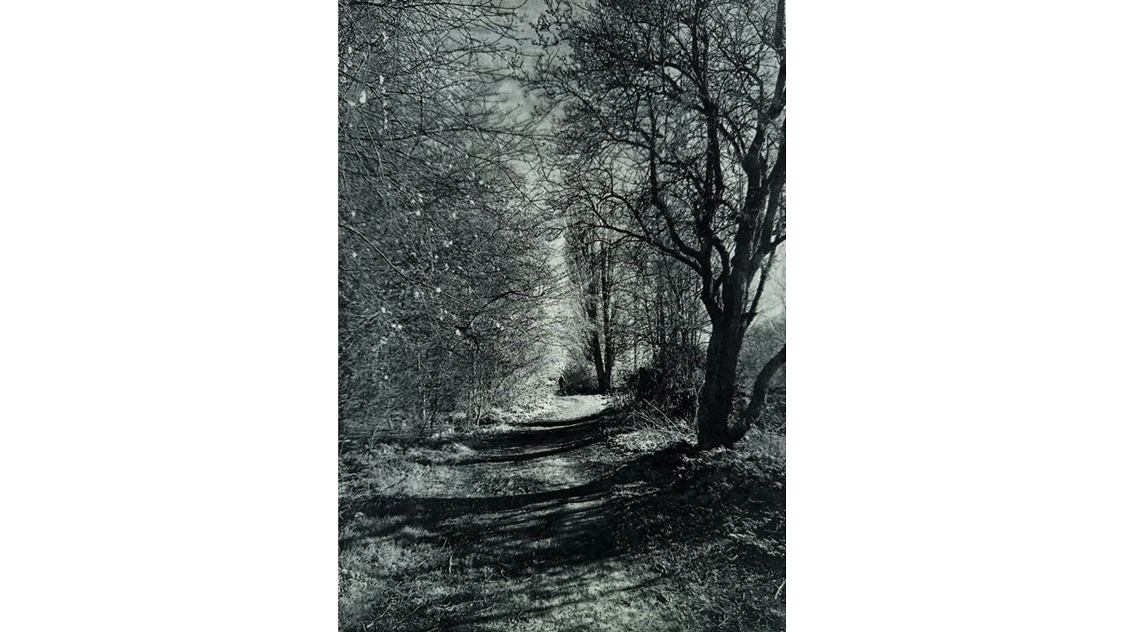 Elizabeth Brown 