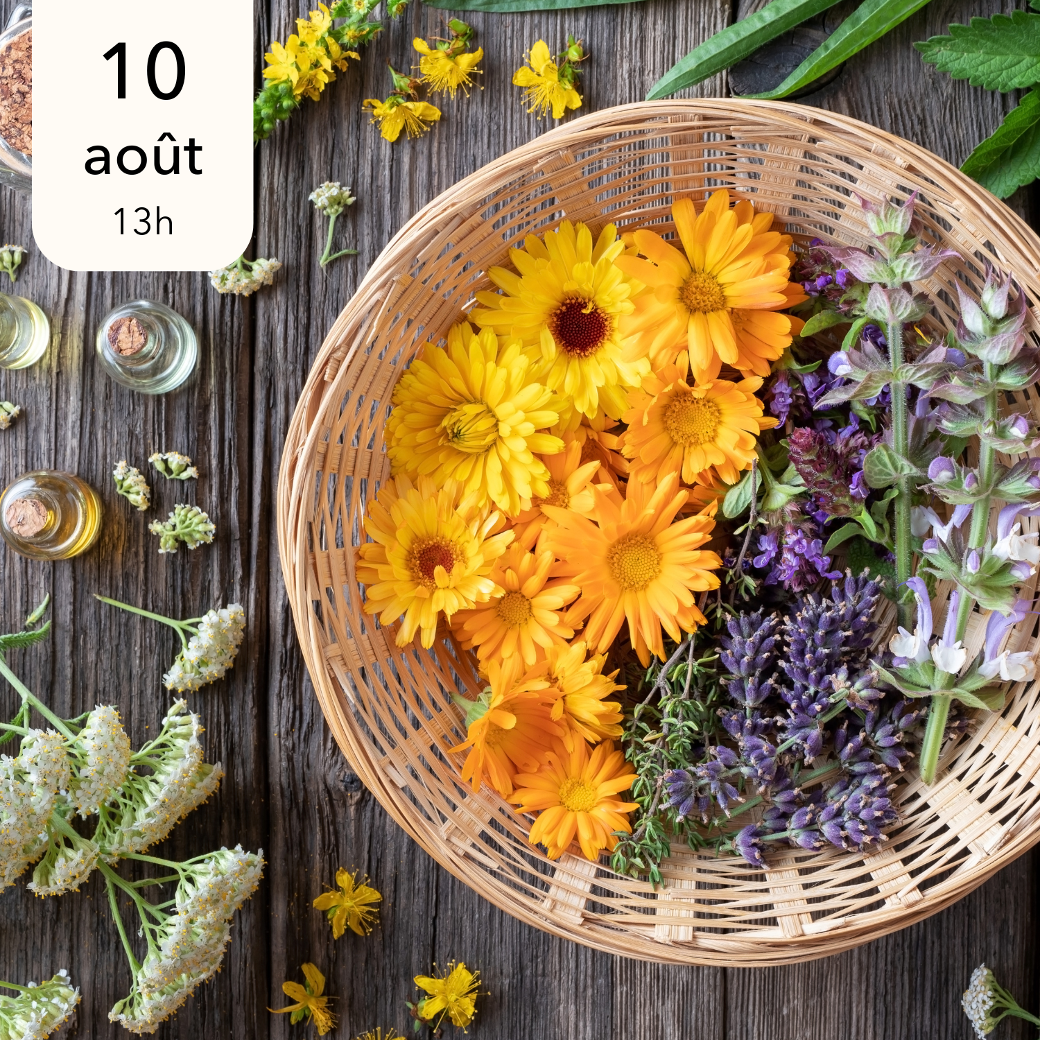 Copie de 29 (28).png