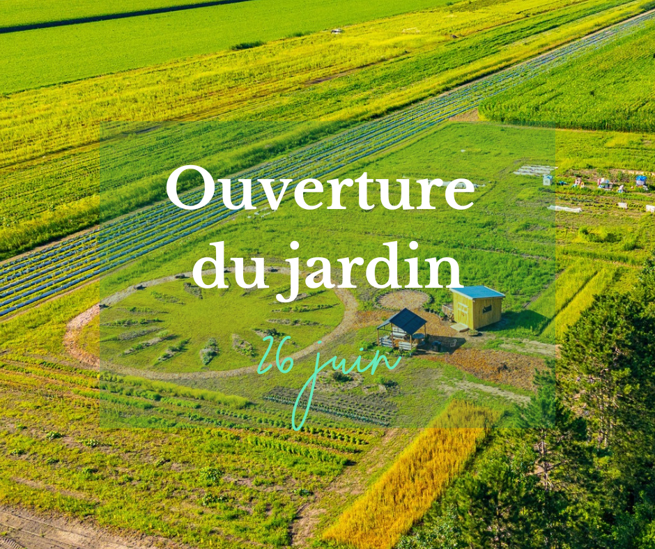 Copie de Beige Red Modern Happy New Year 2026 Facebook Post  (12).png