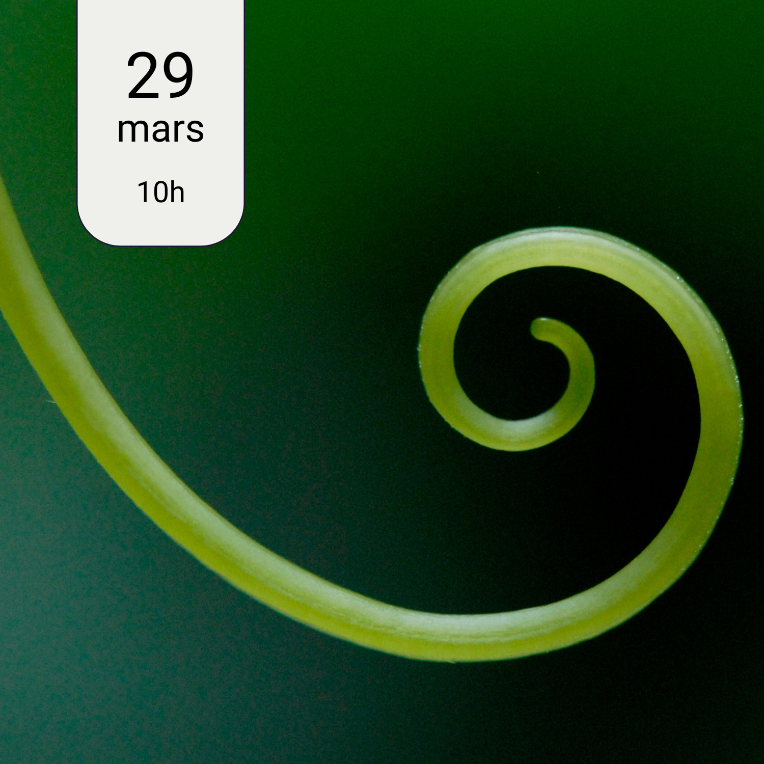 Atelier d'herboristerie : ○ Le Cycle vivant ○