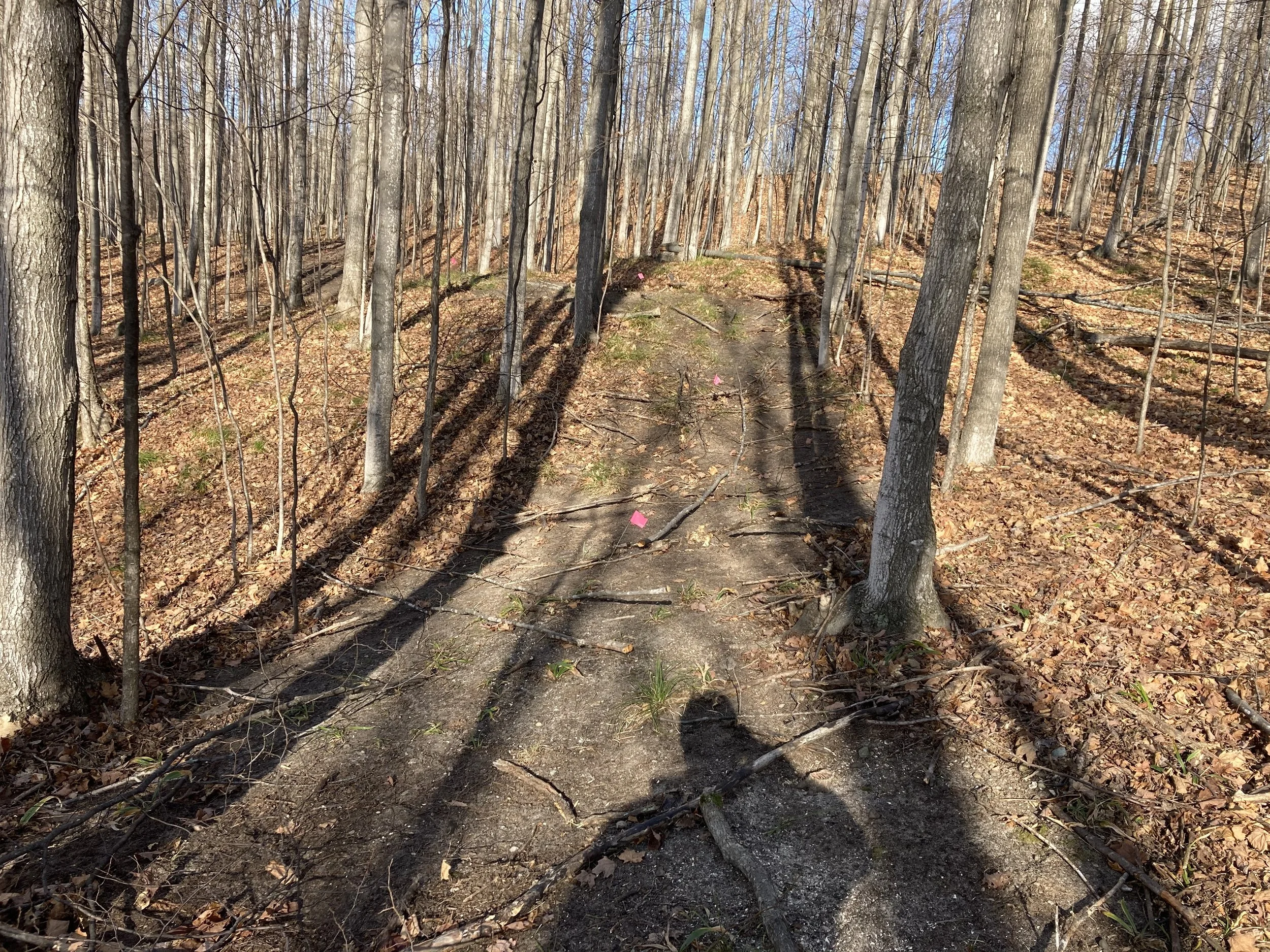 trail site mapping and flagging