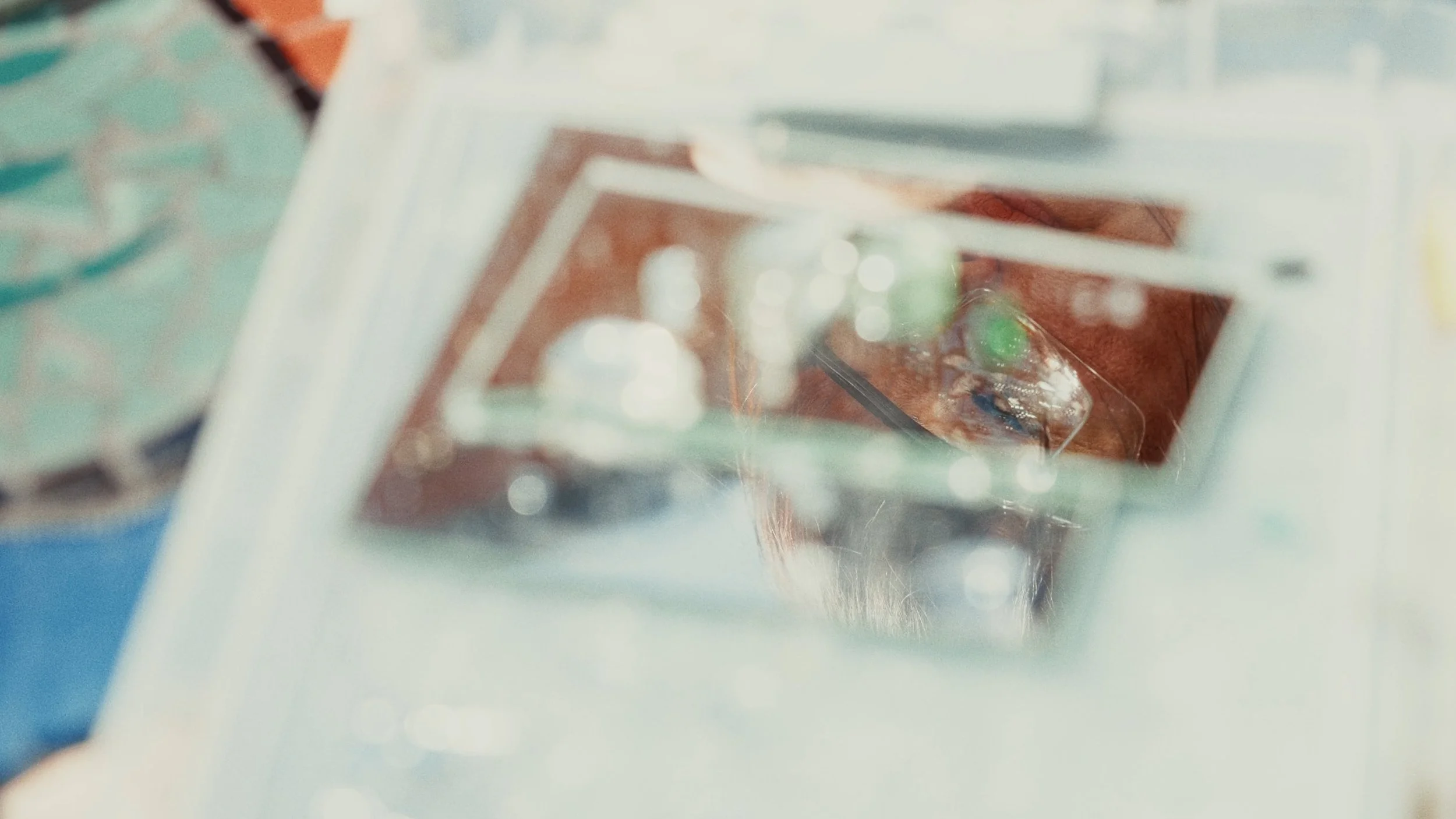 Timeline 1_00_02_51_19.jpg