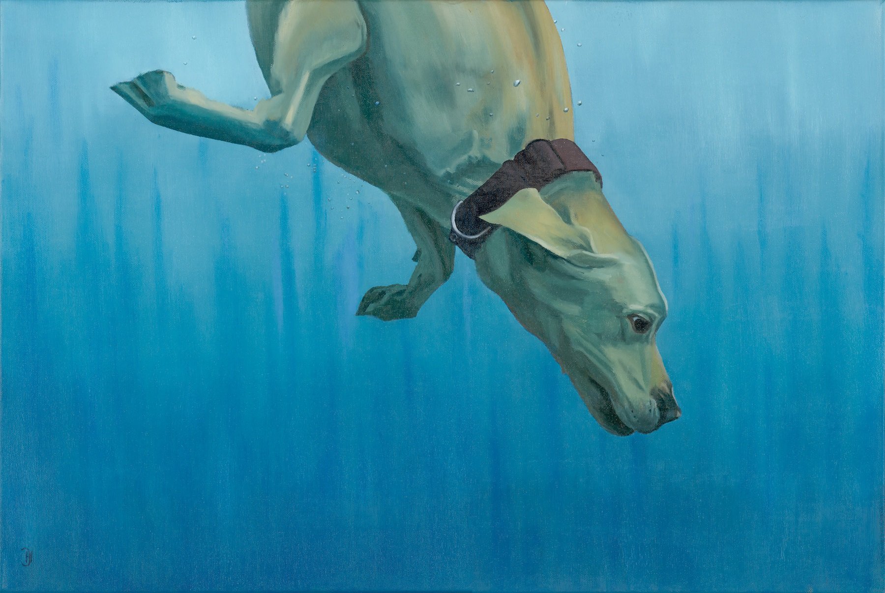 Underwater Labrador 2
