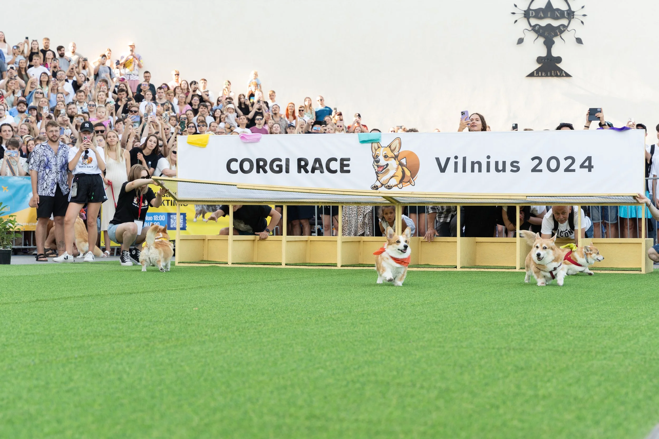 Paskauskas.jpg_ (198 of 254).JPG