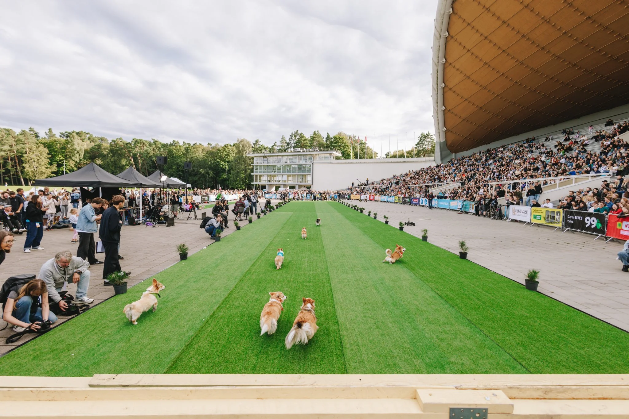 CorgiRace2025_LukasGruseckas&EvelinaSabaliauskaite_20250823_341.jpg