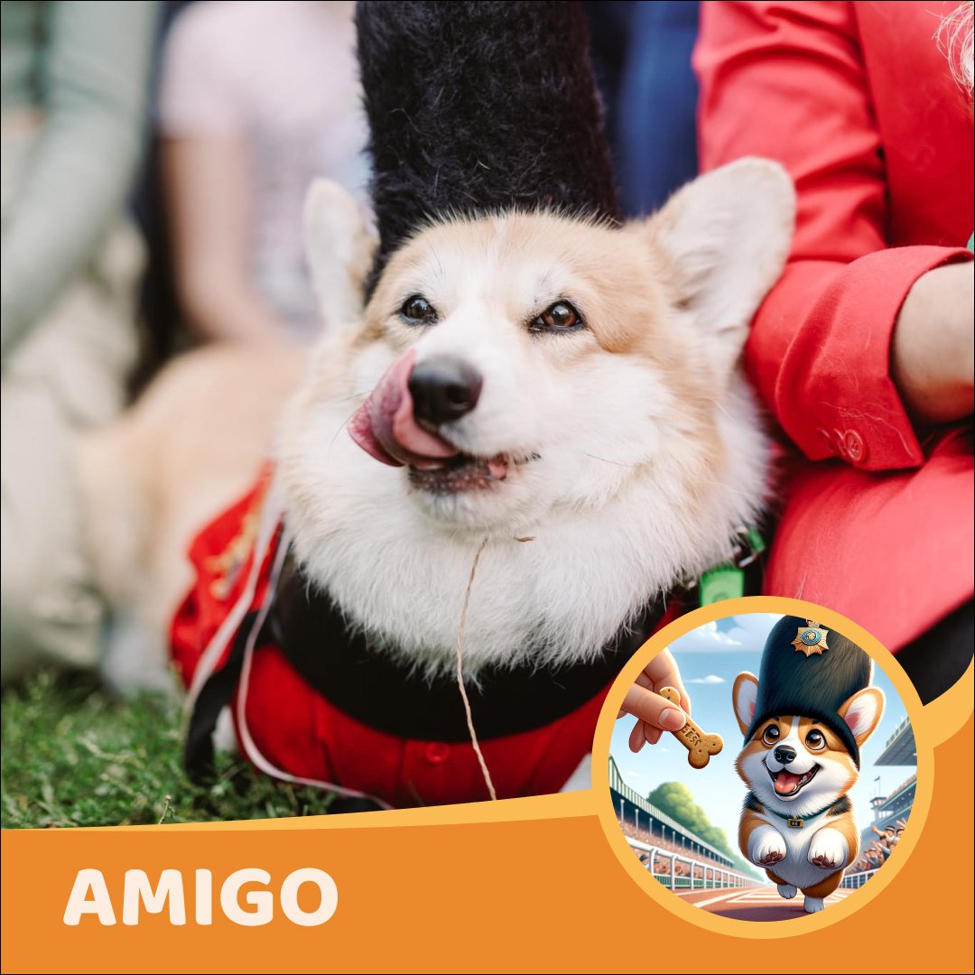 Geriausias kostiumas