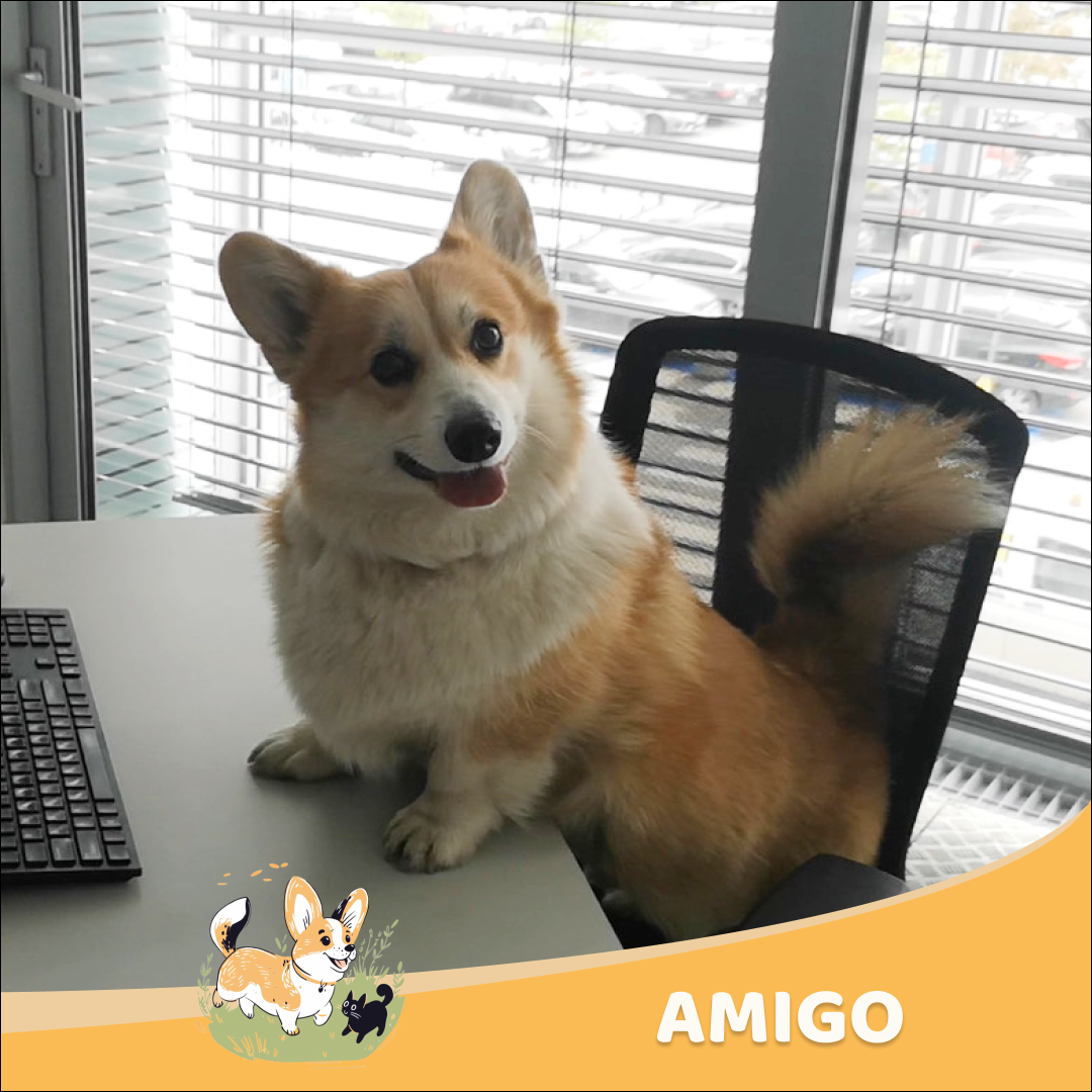 Geriausias kostiumas