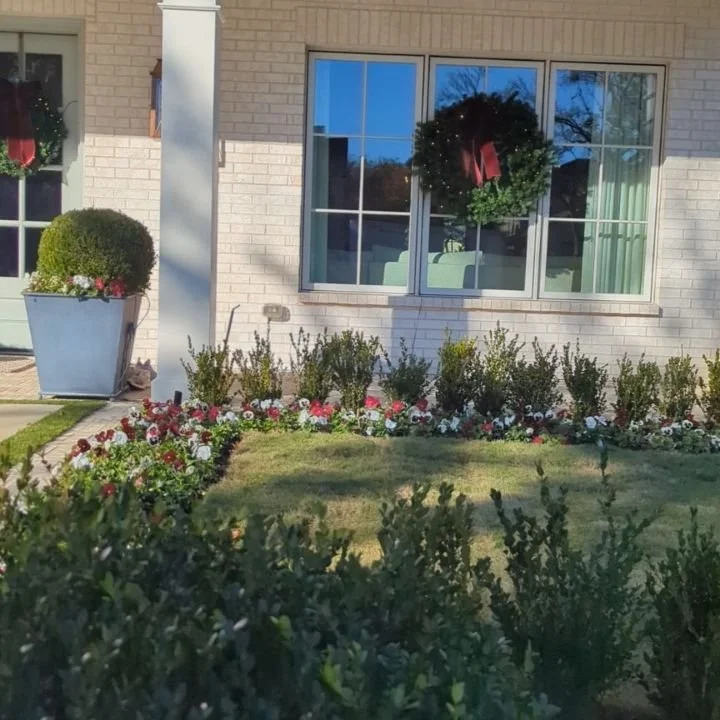 Just finishing up a few landscape enhancements on these two beautiful Preston hollow houses today...getting all spruced up for thanksgiving and Christmas! 

Our new favorite thing~ a burgundy, white and purple throated pansie mix to coordinate with b
