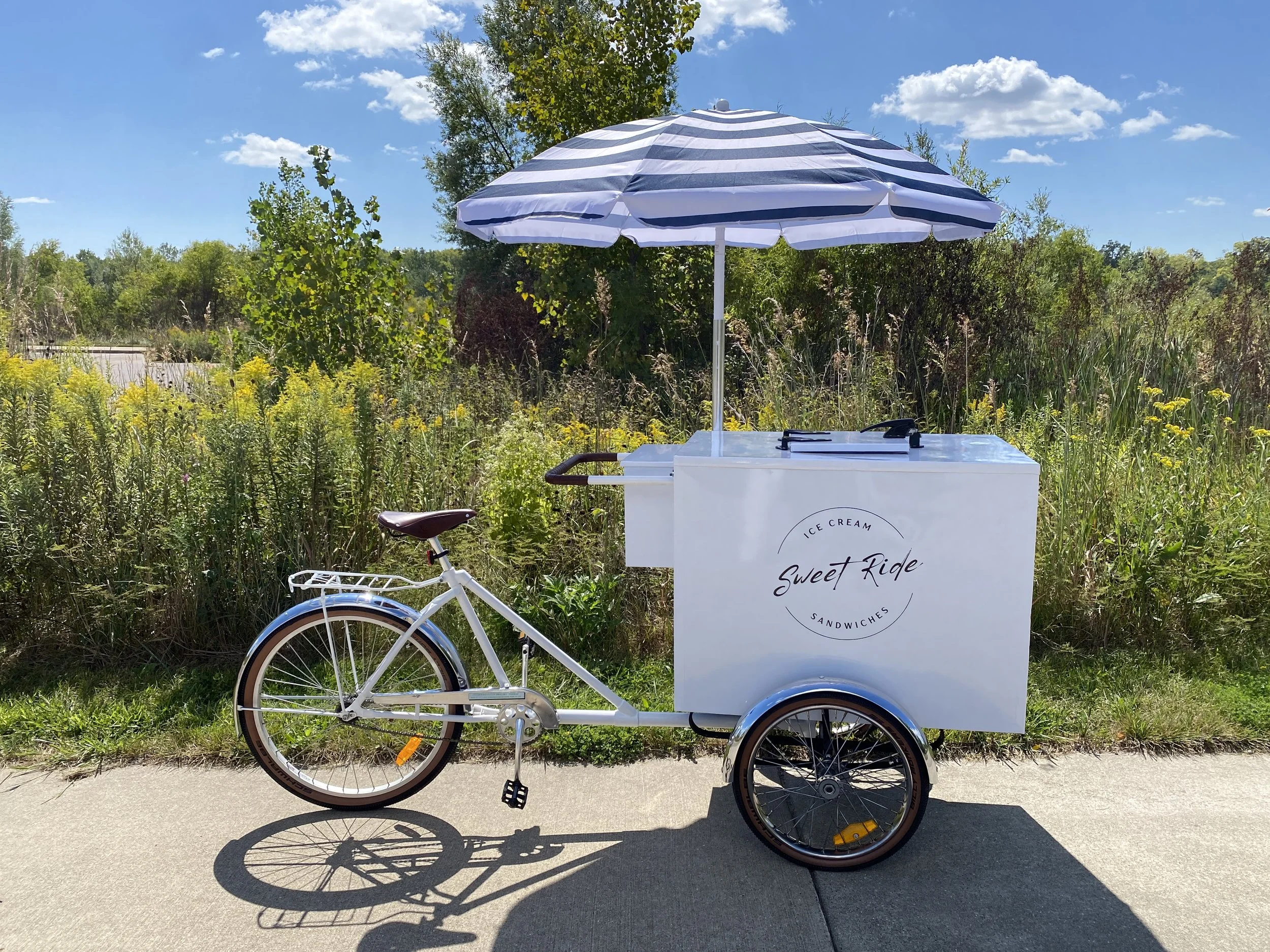 Blue Stripe Umbrella with White Rear Bike Rack