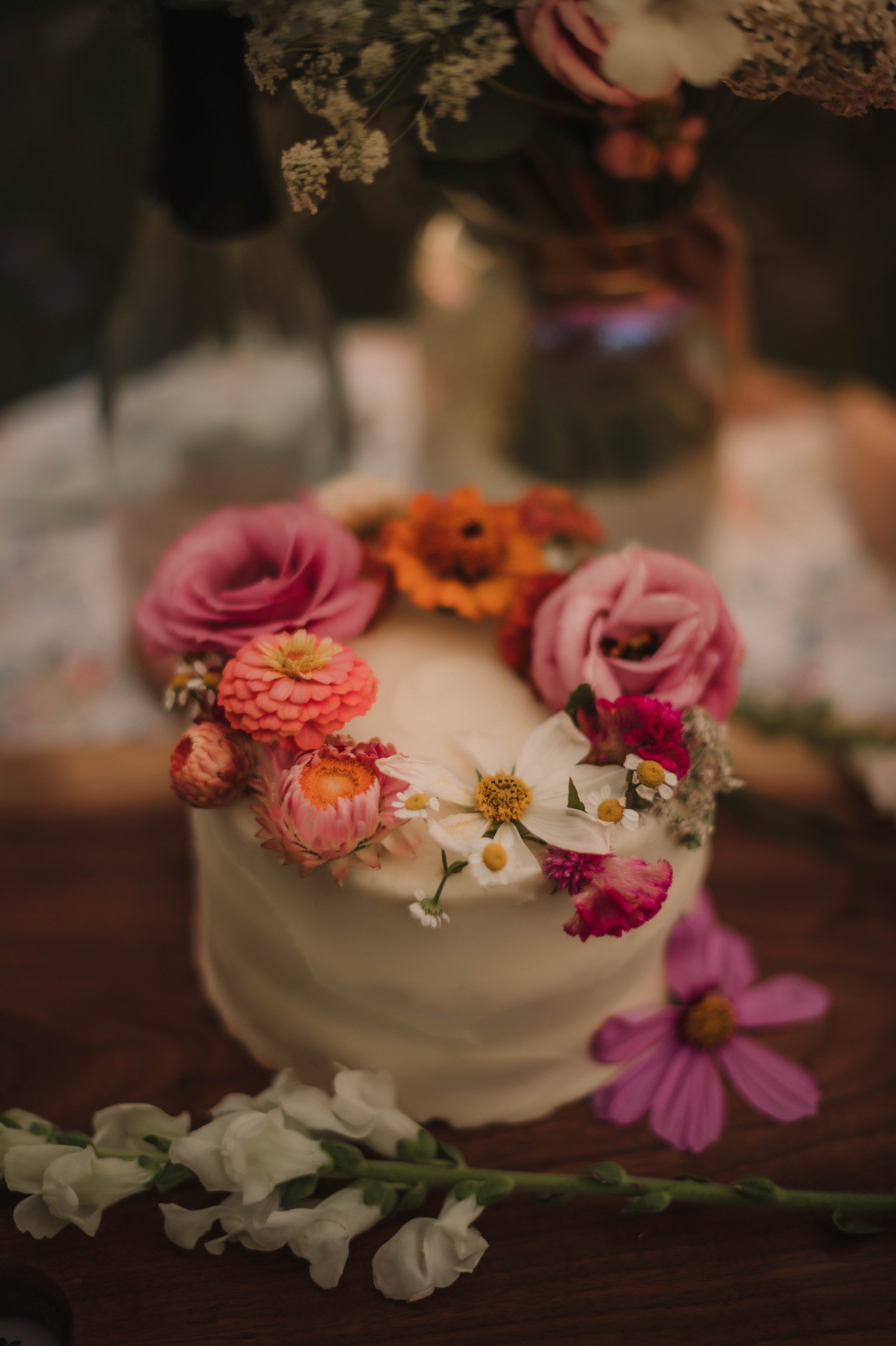 ASH_6927 (1).jpg