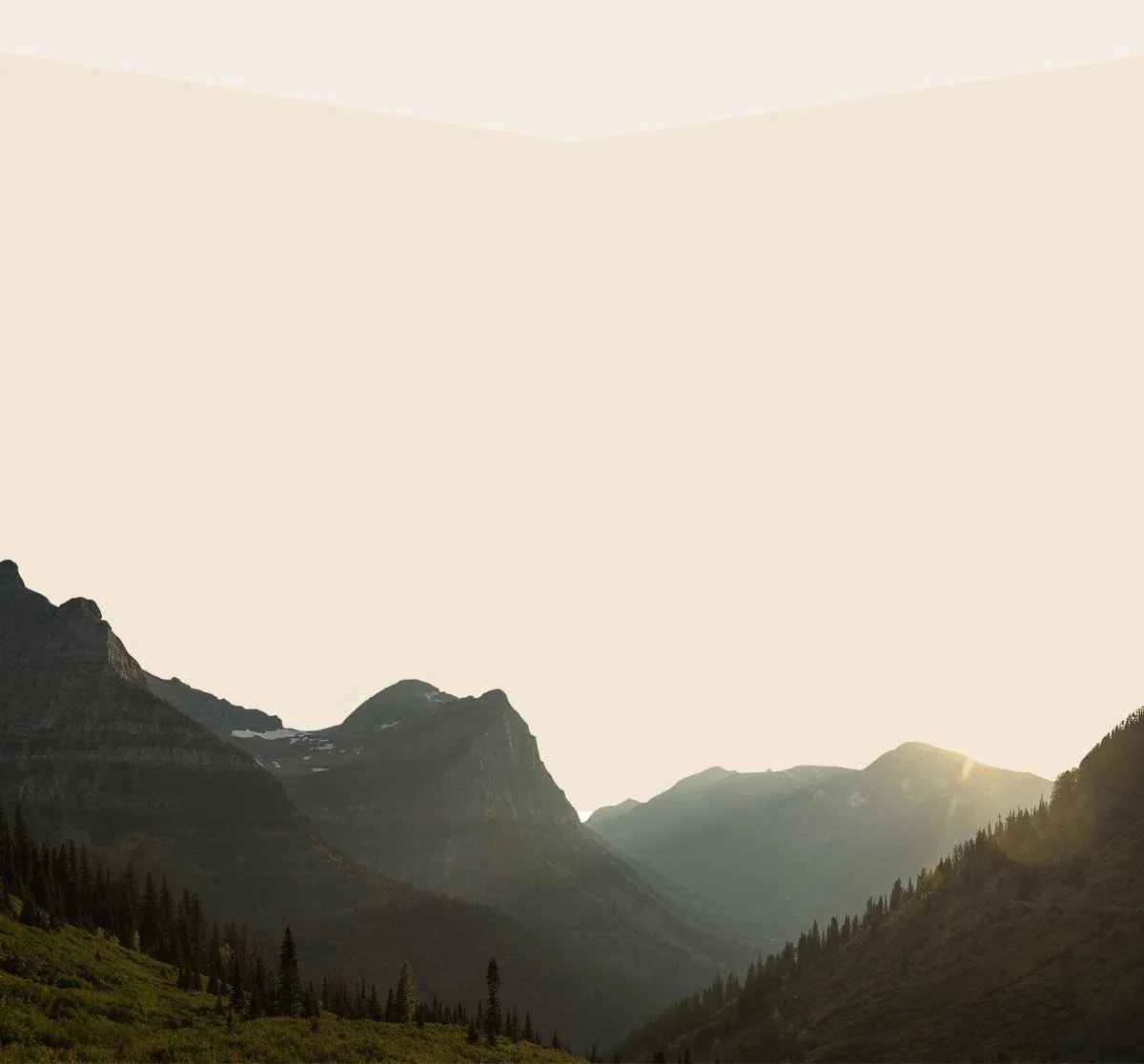 ancestral supplements