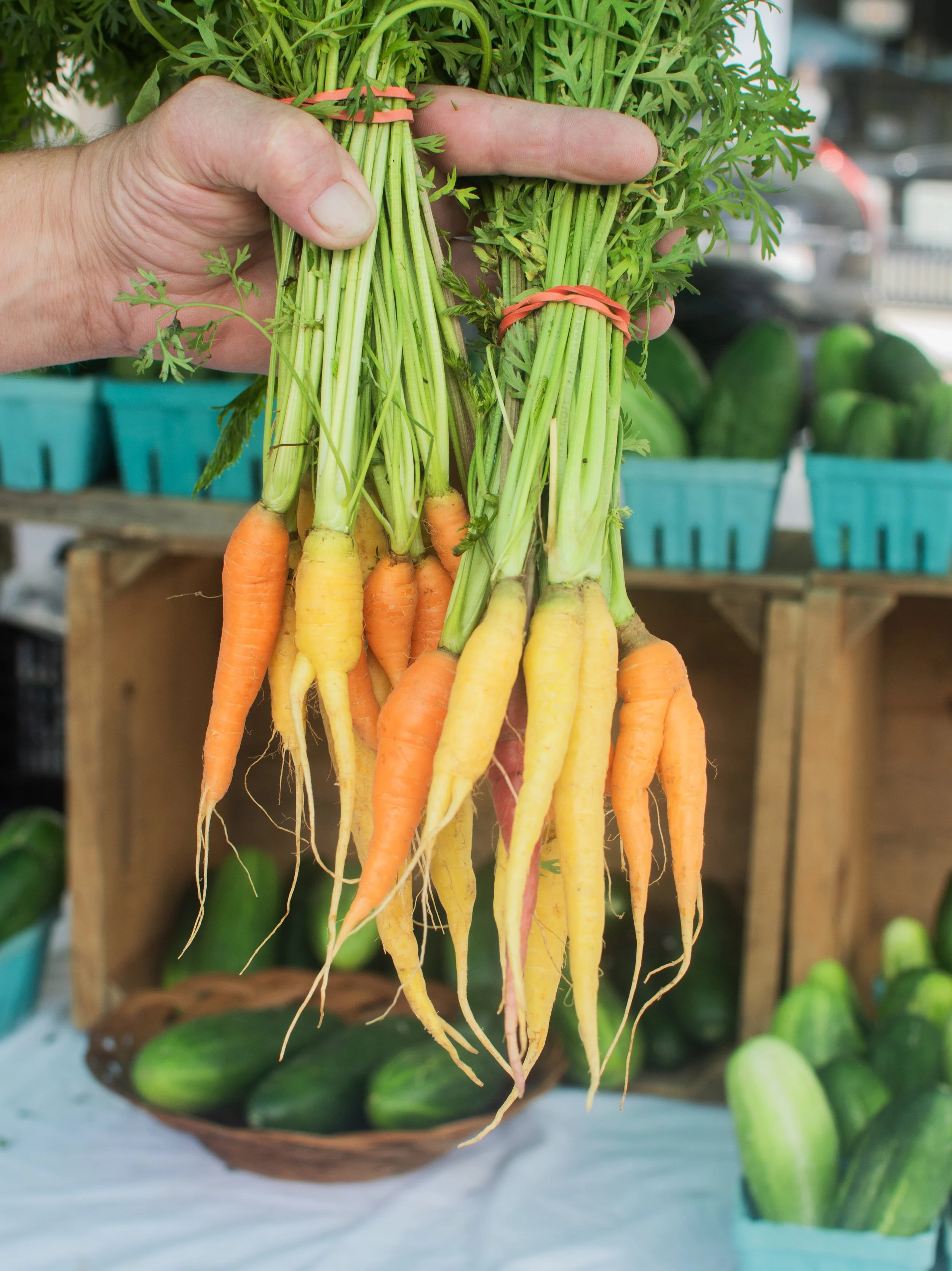 North Adams Massachusetts Farmers Market | Full Well Farm